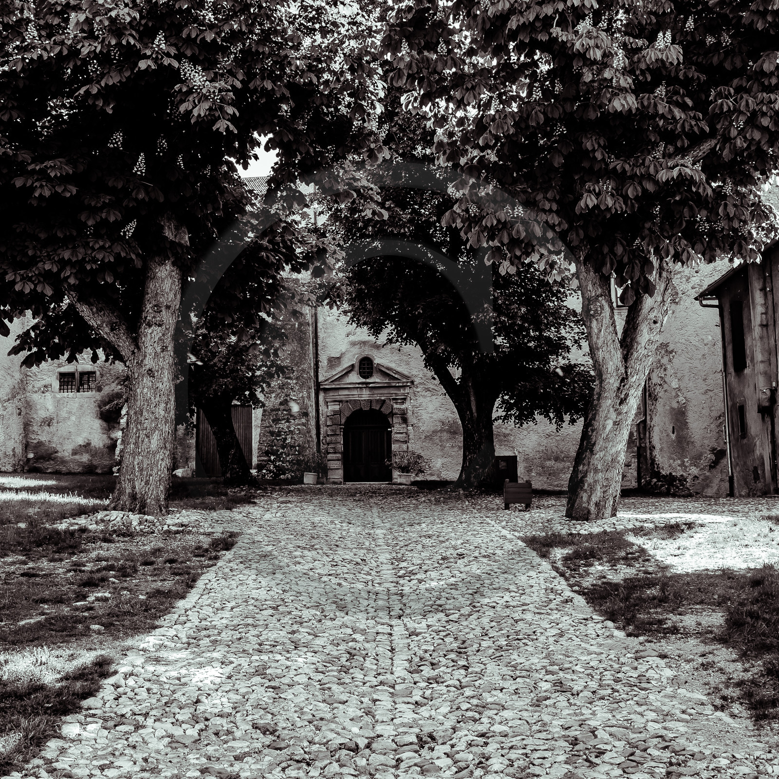 Le Château de Montmaur