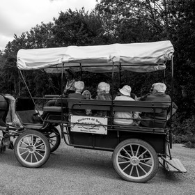 Promenade en calèche et contes