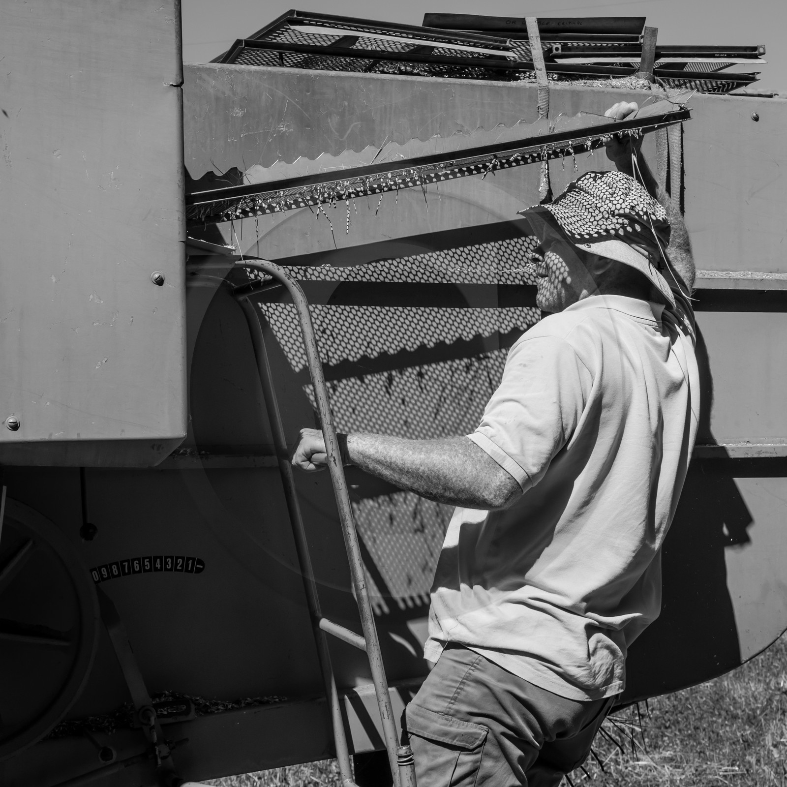 Les moissons dans le Champsaur