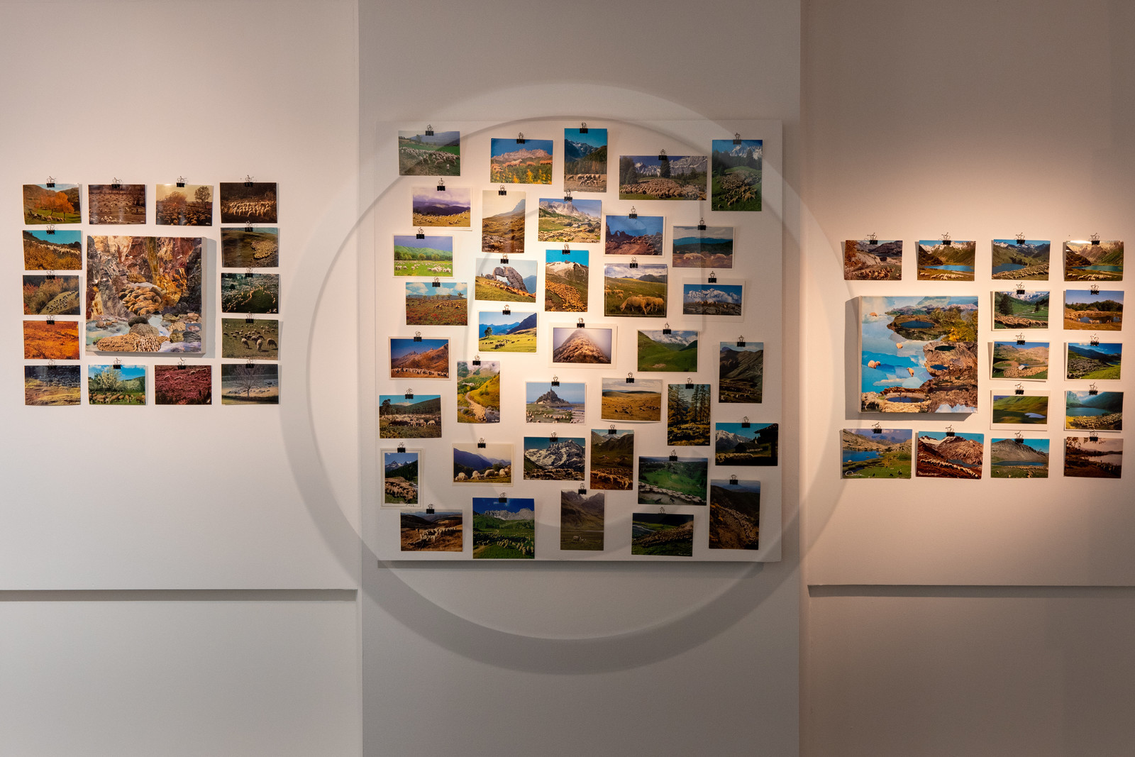 Expositions à la maison du Berger - Champoléon