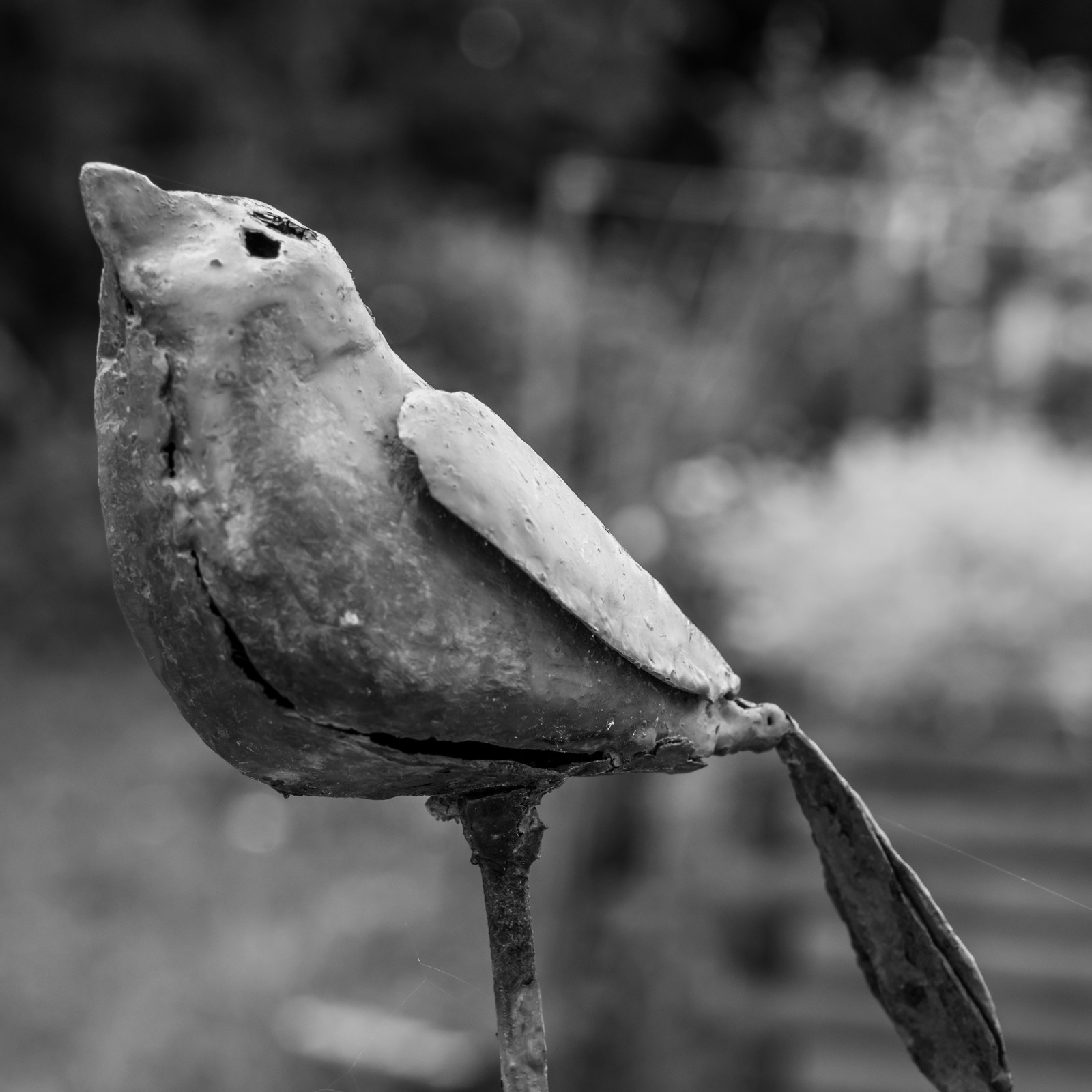 06 juin 2025 : Journée des aidants