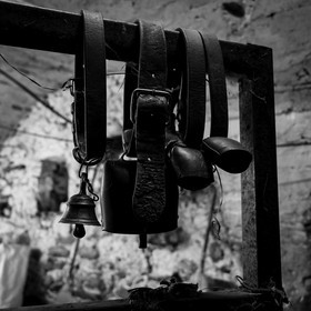 Le mohair arc en ciel