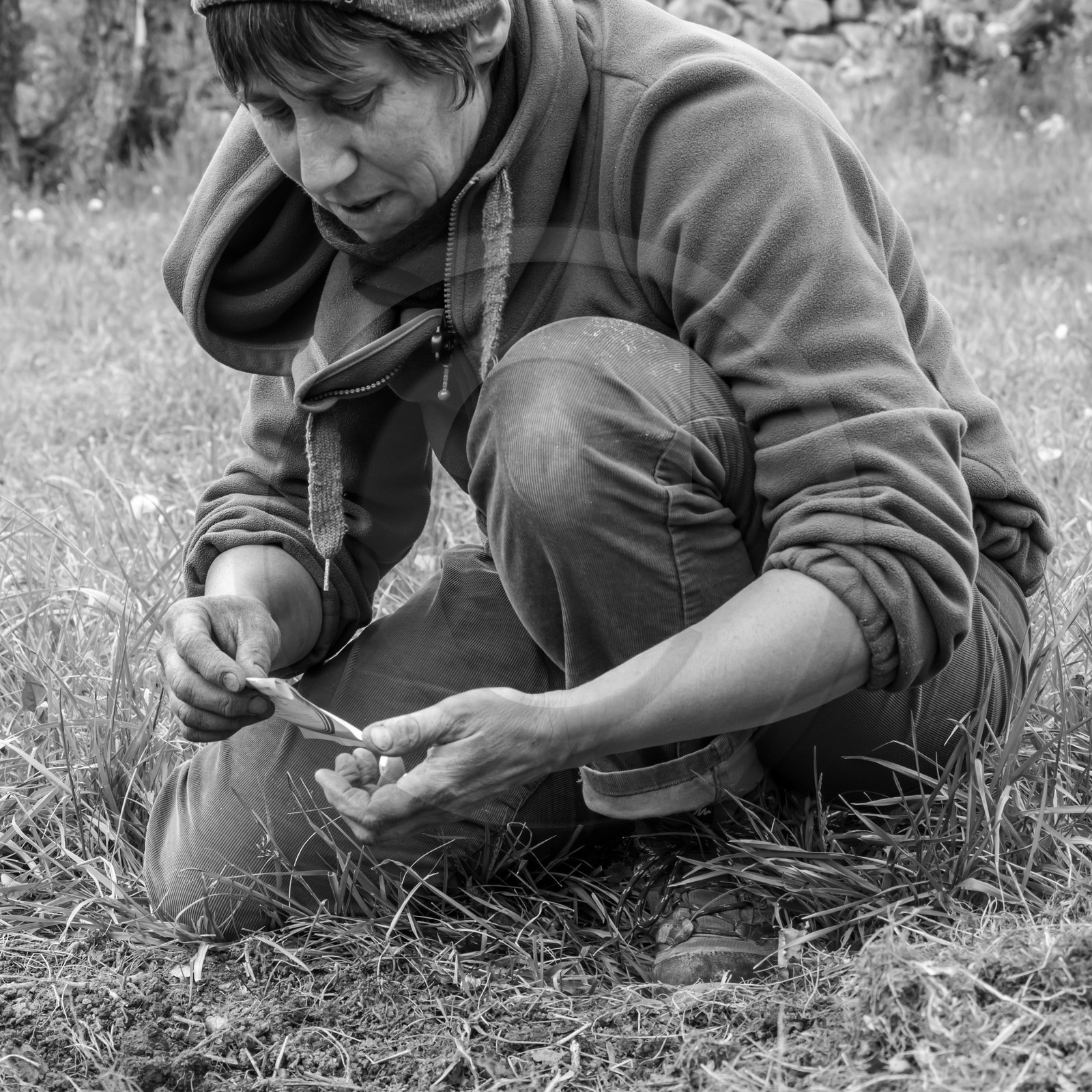 03 mai 2017 - Bac, semis et plantations