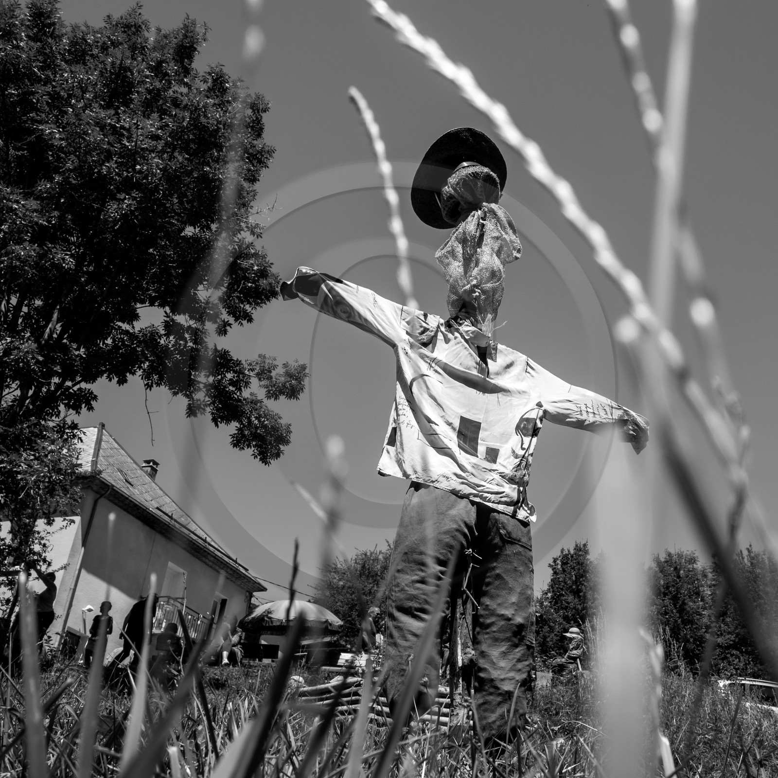 05 juillet 2017 - Installation épouvantails