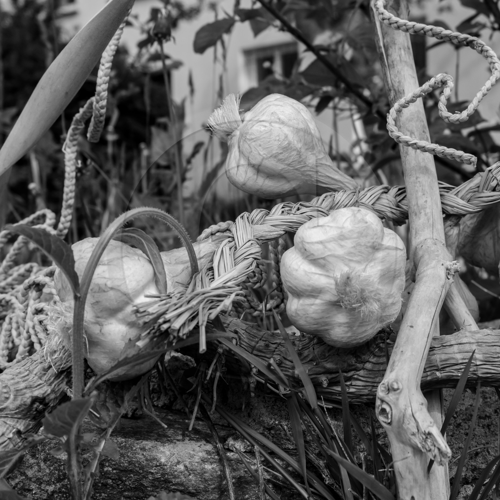 25 mai 2019 : Vide-Jardin de l'Ouort de Benevènt