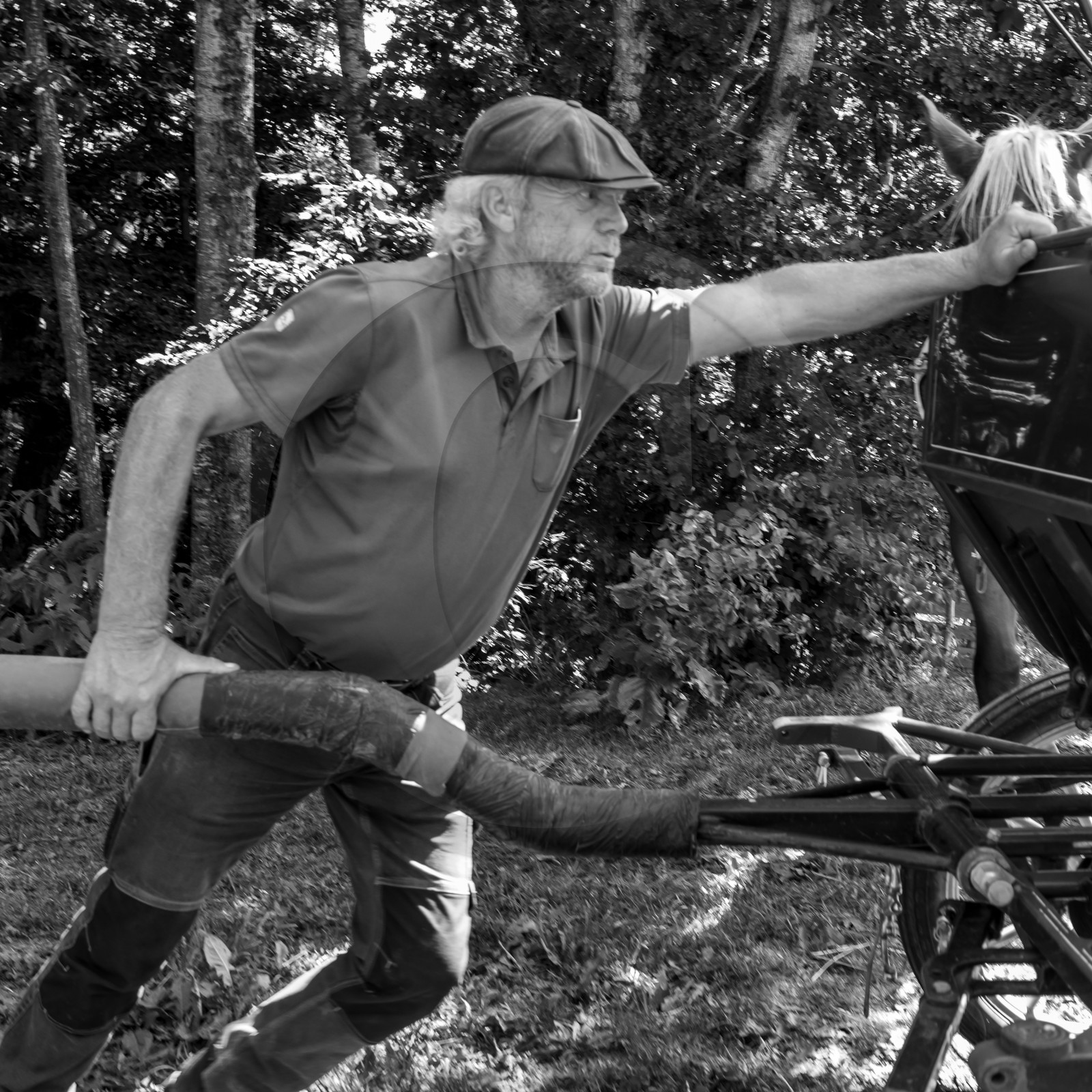 01 septembre 2021 : Promenade en cariole et contes