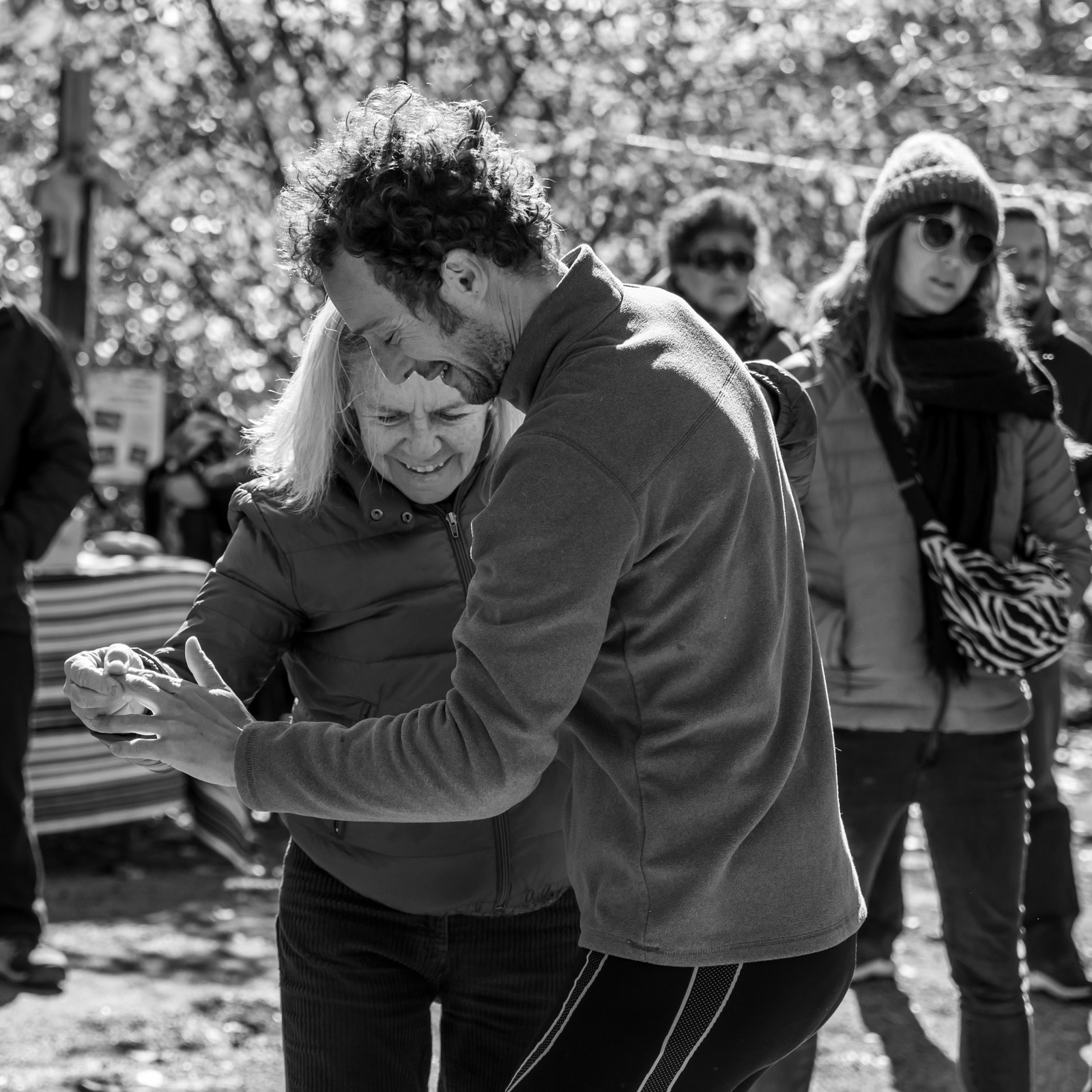 26 octobre 2025 : Les oiseaux de trottoir