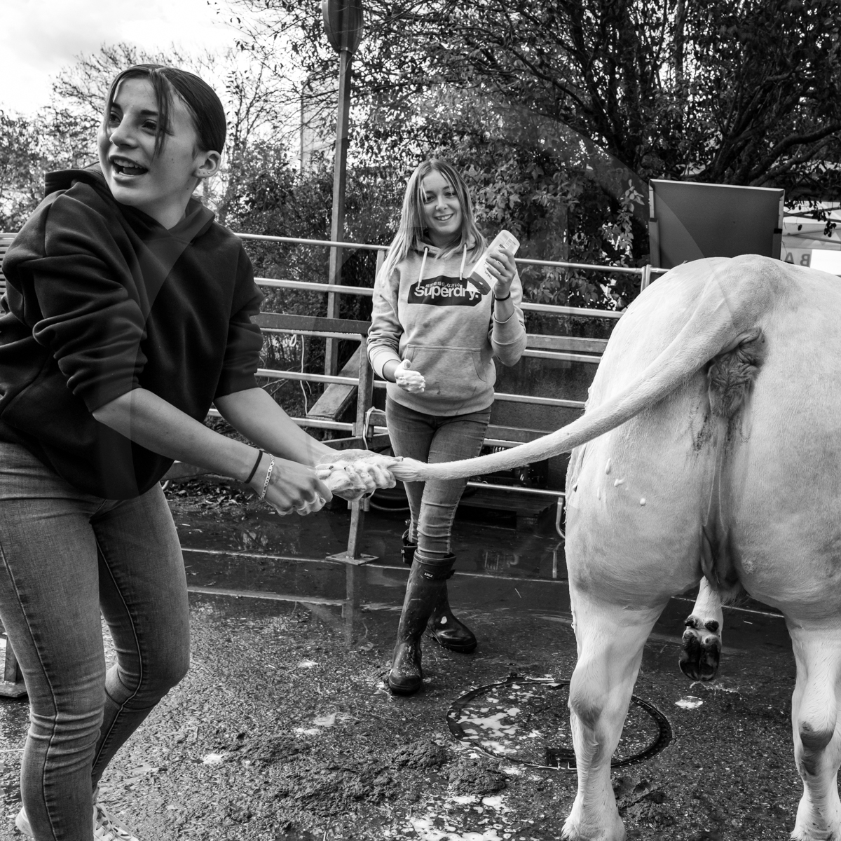 Rencontres paysannes à Saint-Bonnet en Champsaur