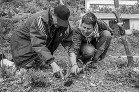 23 avril 2025 : Des oiseaux et des plantes