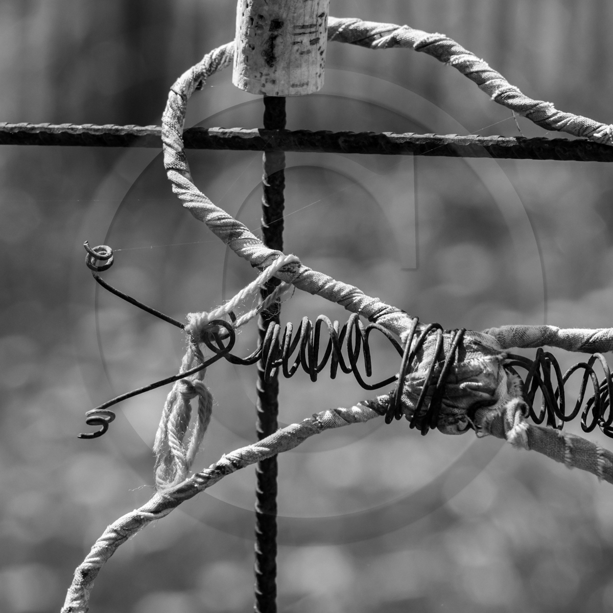 29 avril 2022 : journée des aidants et des aidés