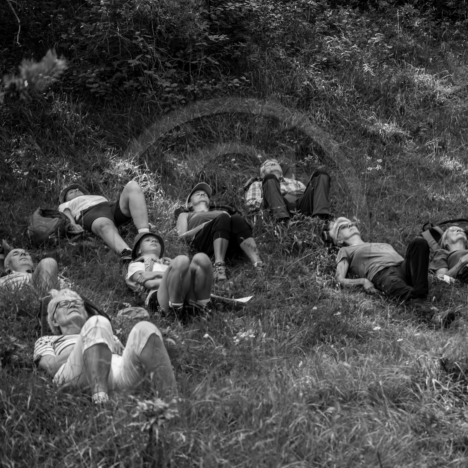 Arpenter le paysage avec Martin de la Soudière