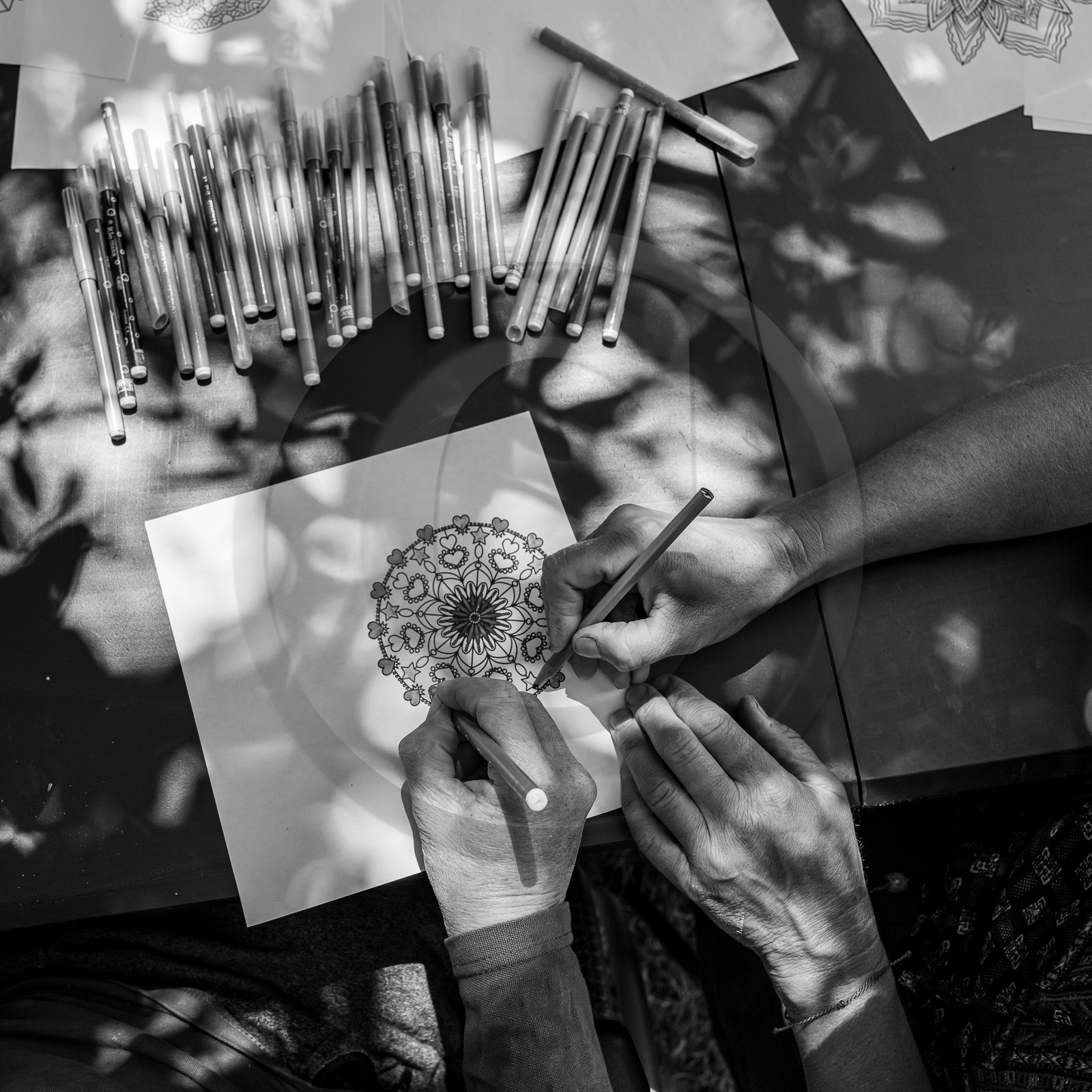 26 juin 2023 : journée des aidants et des aidés