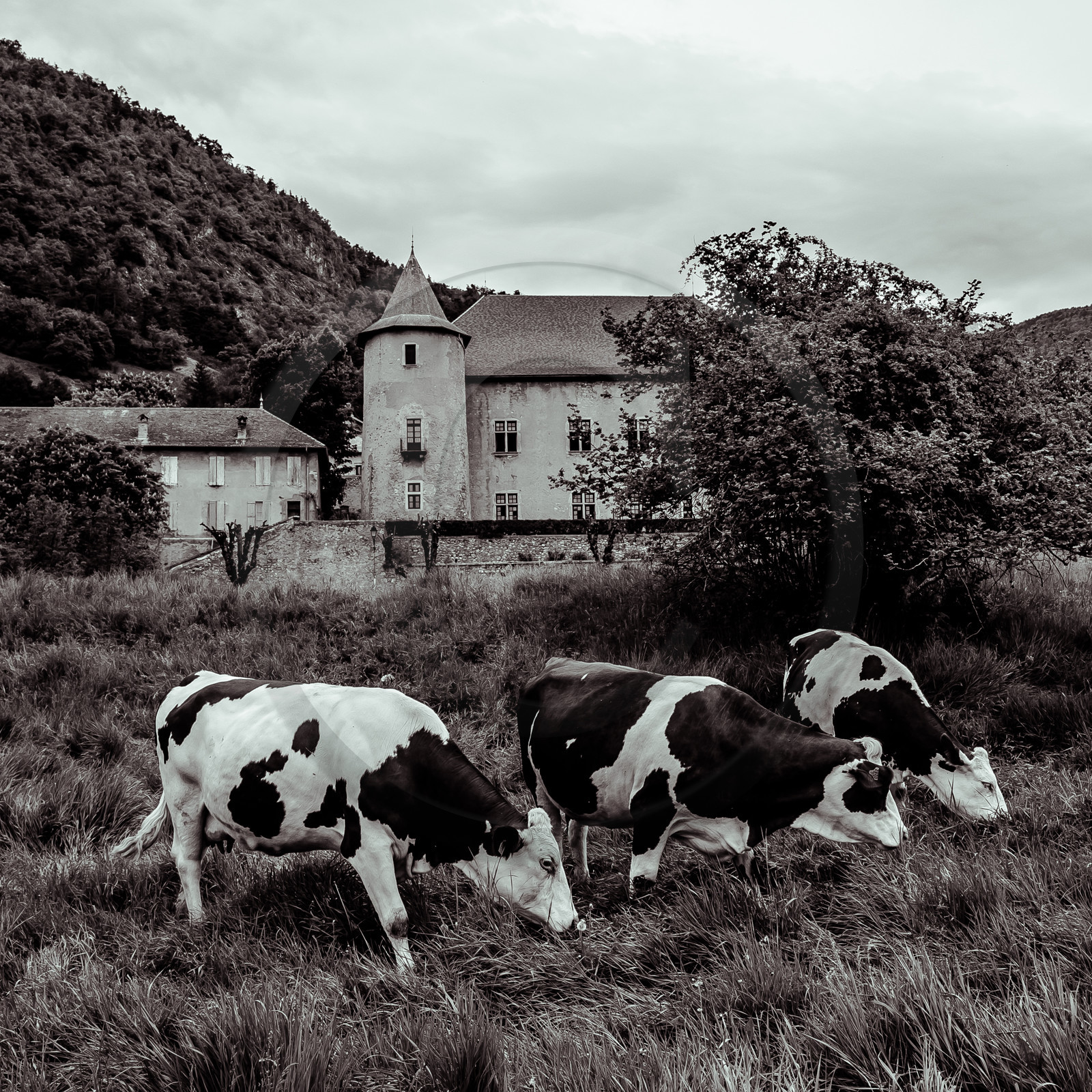 Le Château de Montmaur