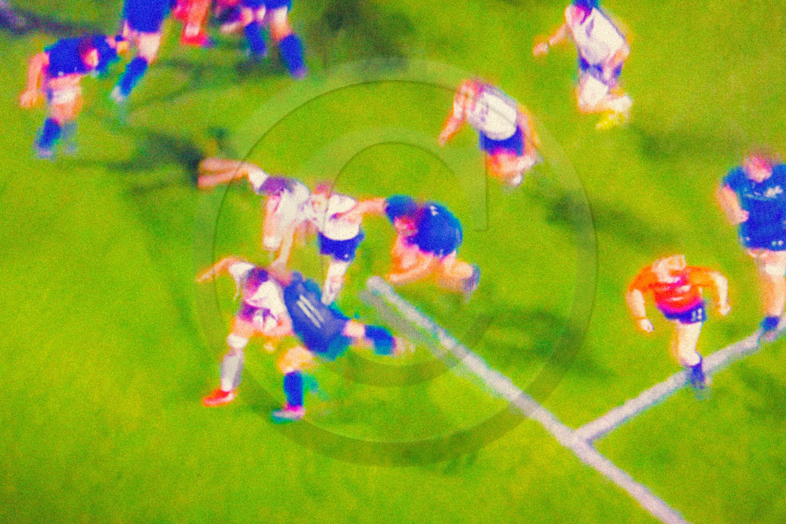 Rugby féminin