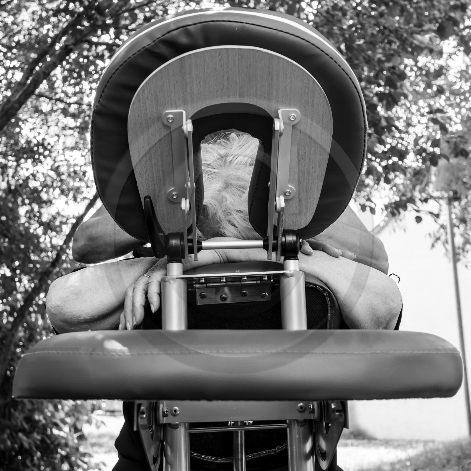 Animations au jardin