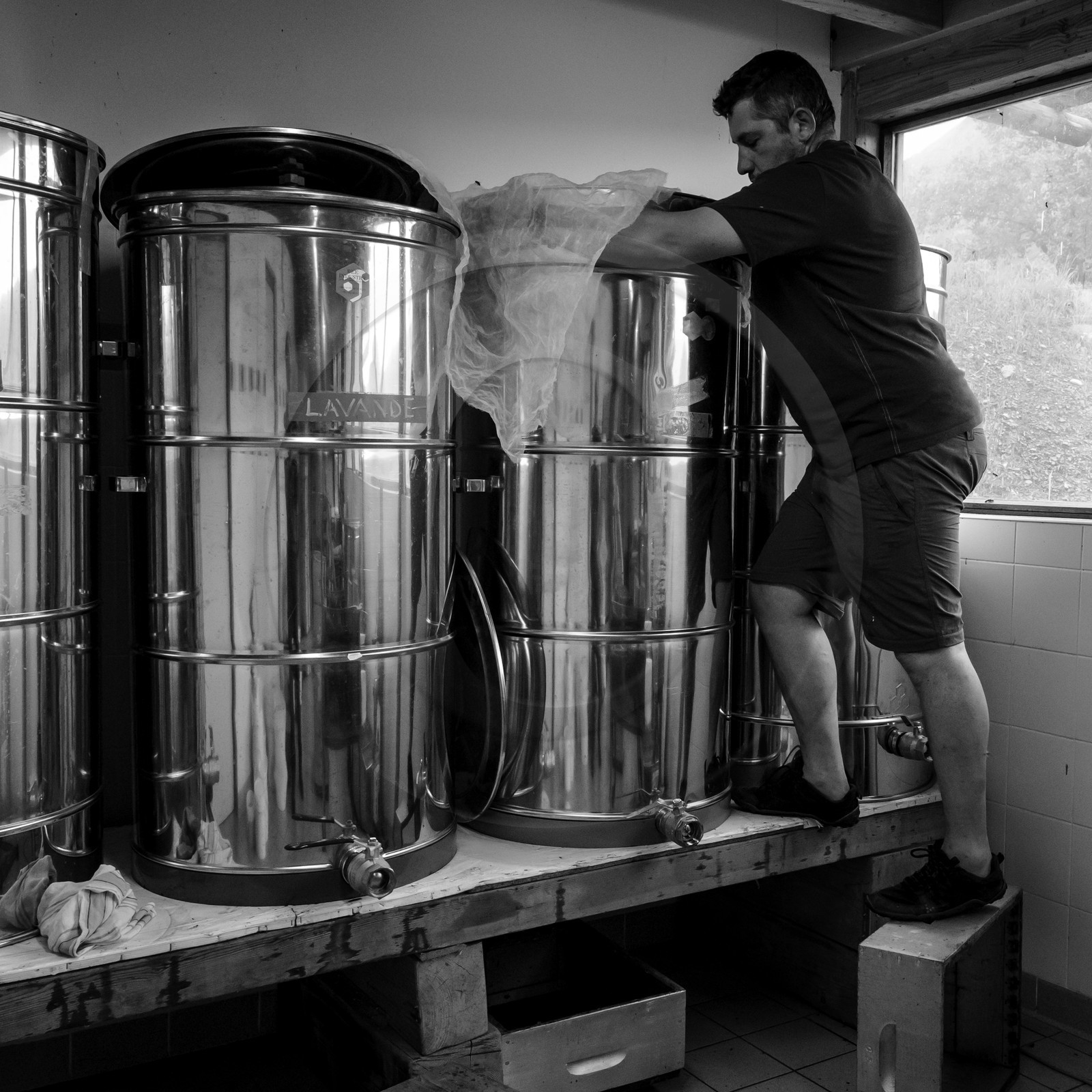 L'extraction du miel