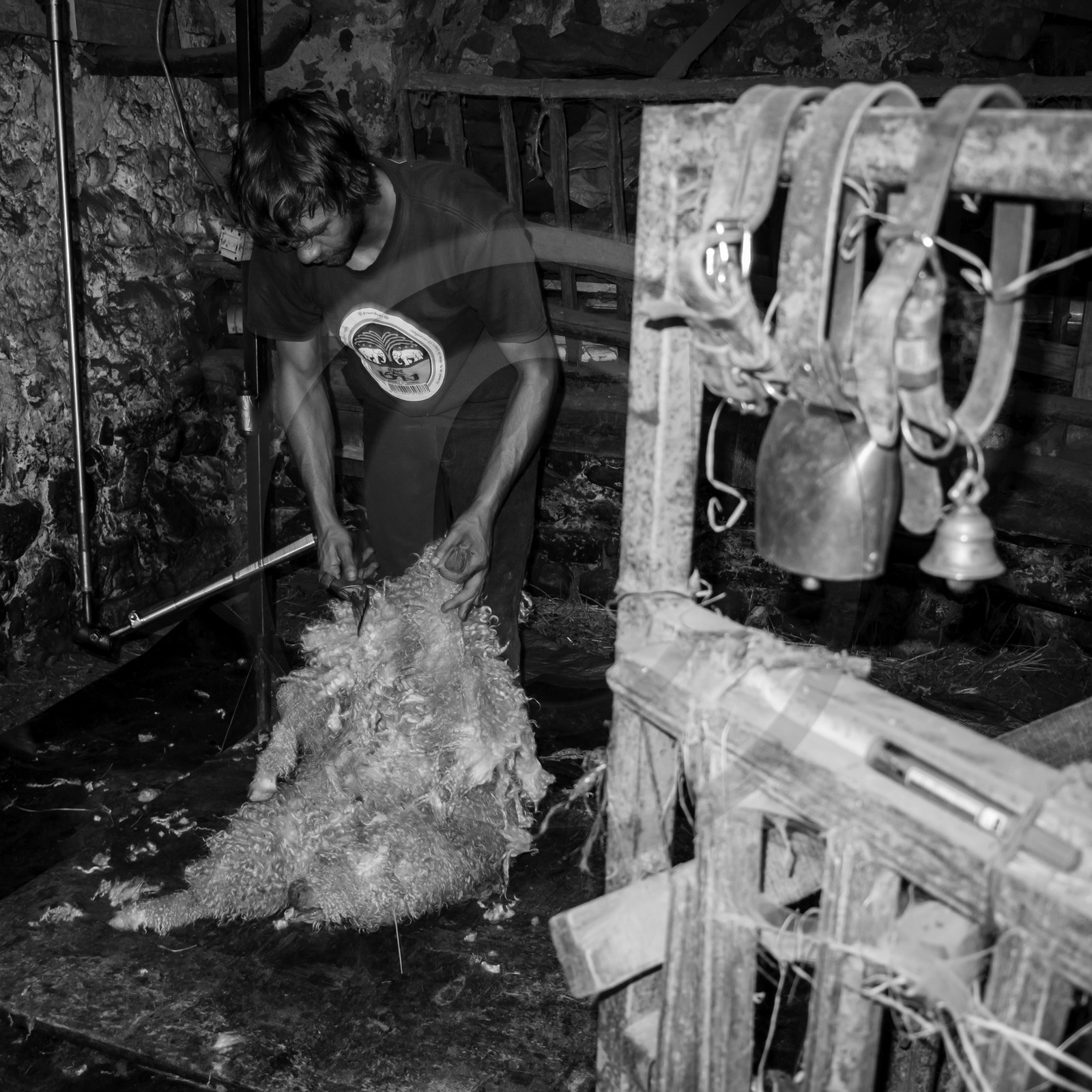 Le mohair arc en ciel