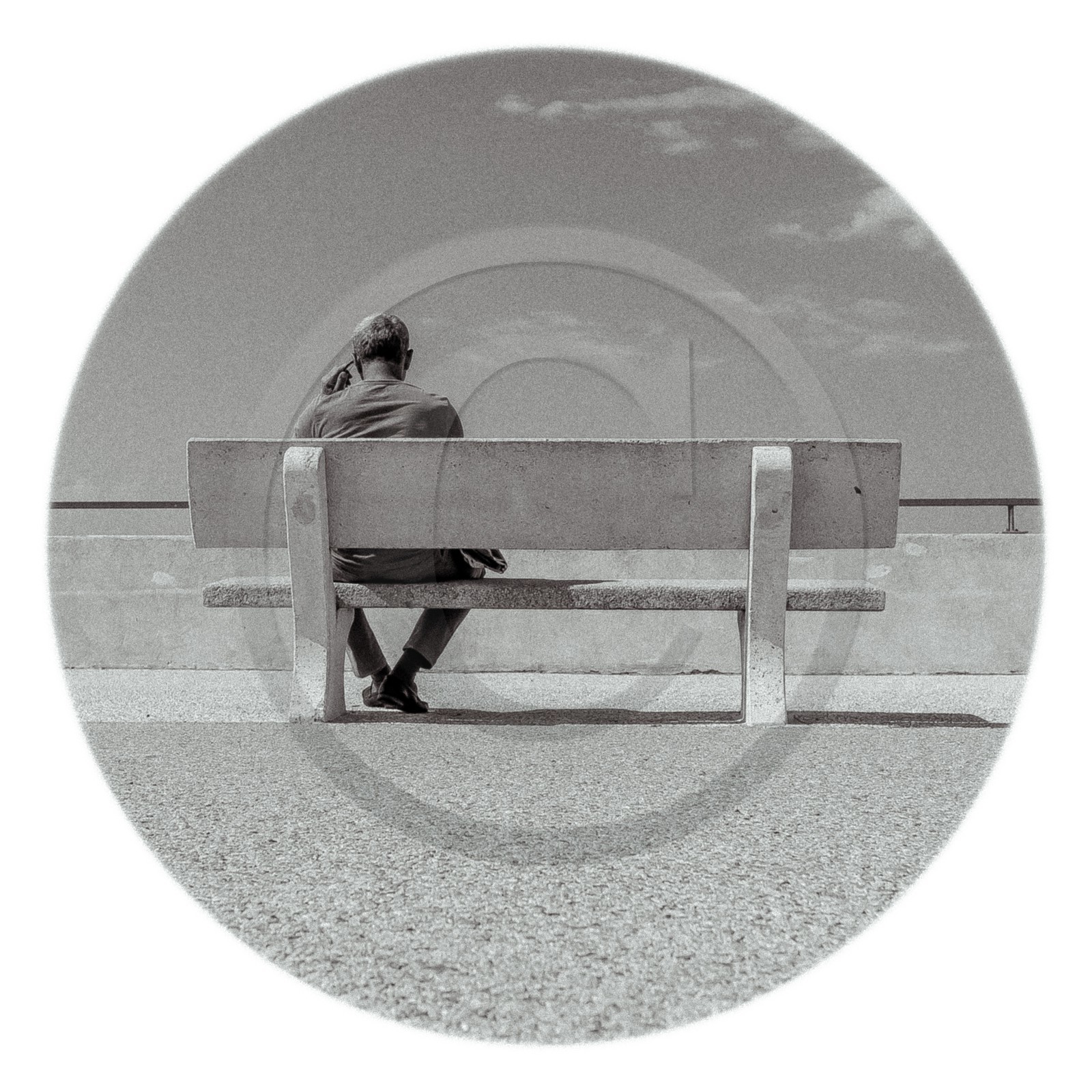 Les instants Camargue