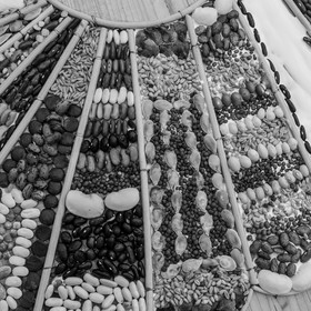 30 avril 2025 : Un oiseau en osier