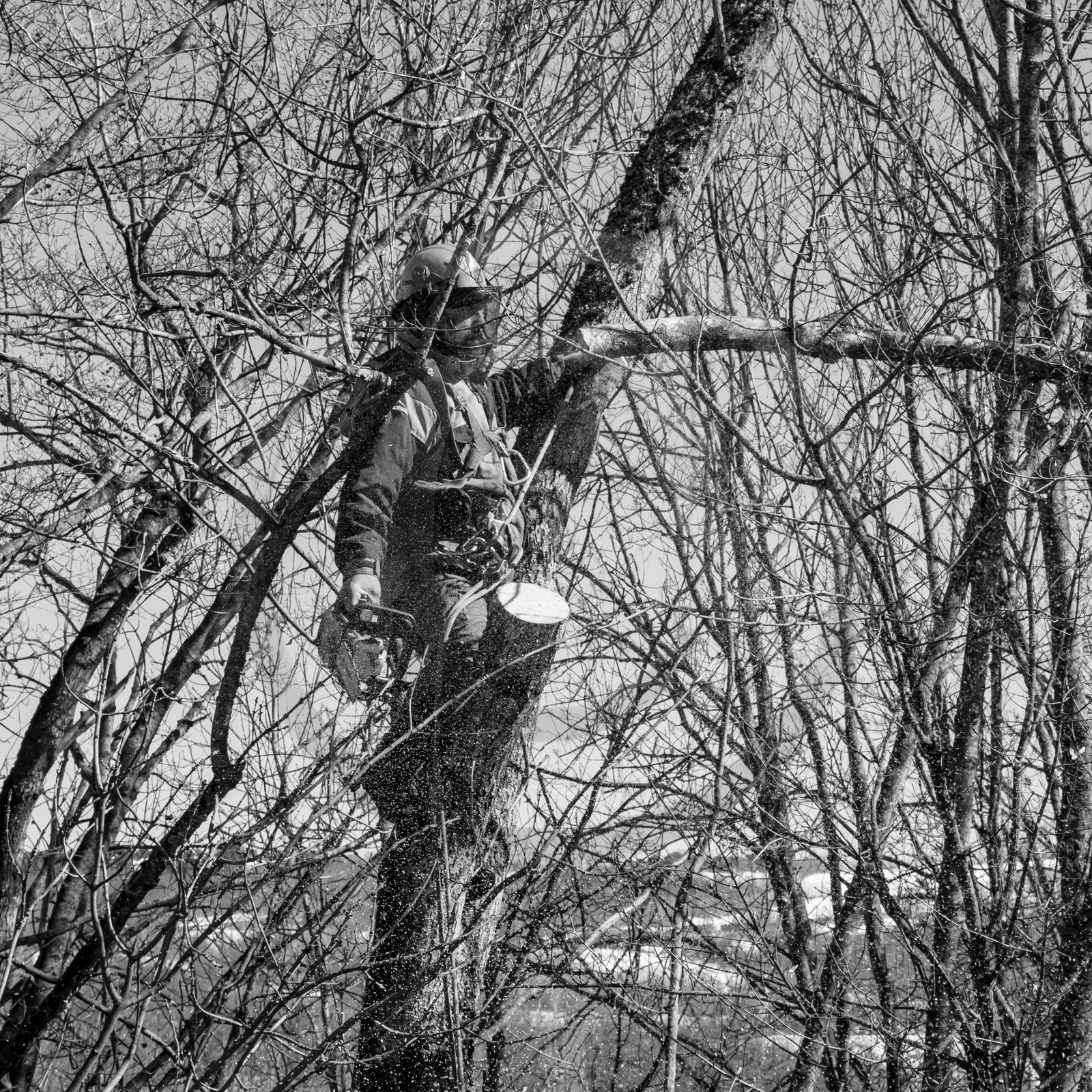 L'Ouort de Bénévent - 08 mars 2017