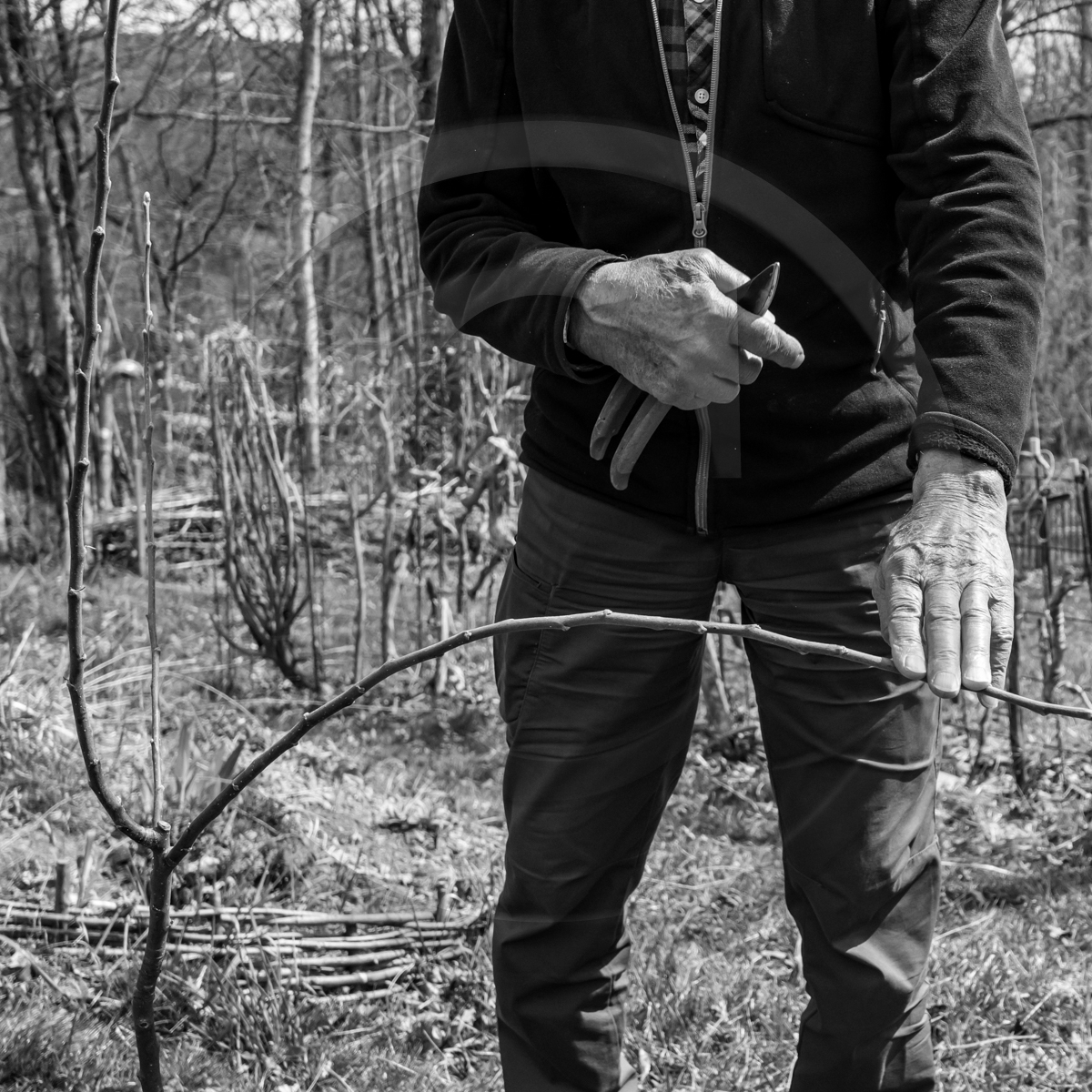 06 avril 2022 : c'est la reprise à l'Ouort