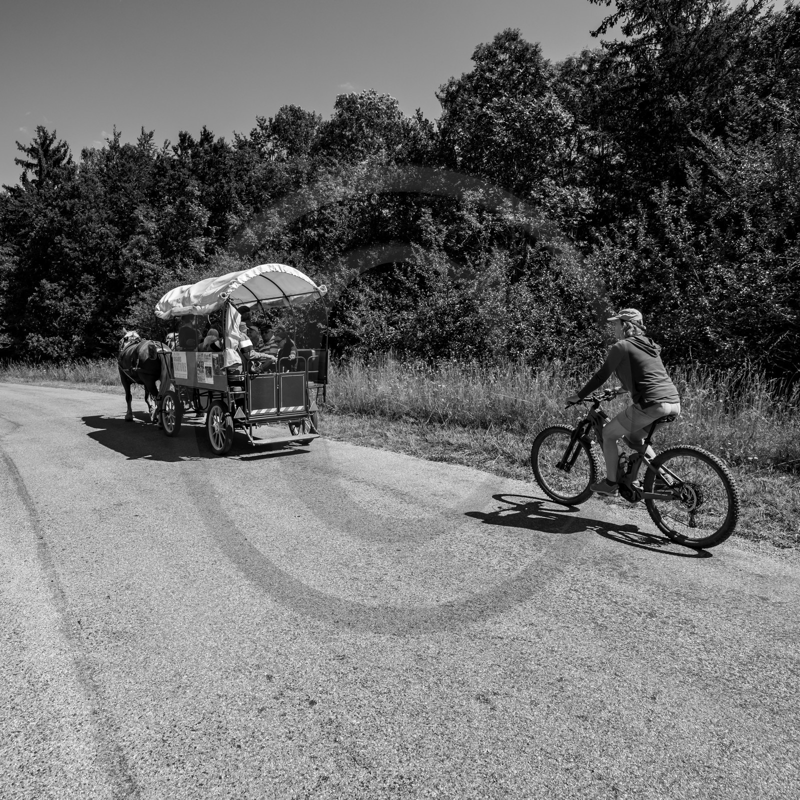 01 septembre 2021 : Promenade en cariole et contes