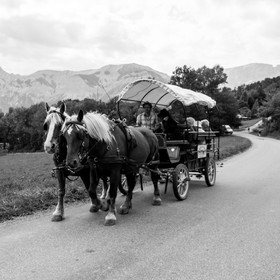 Promenade en calèche et contes