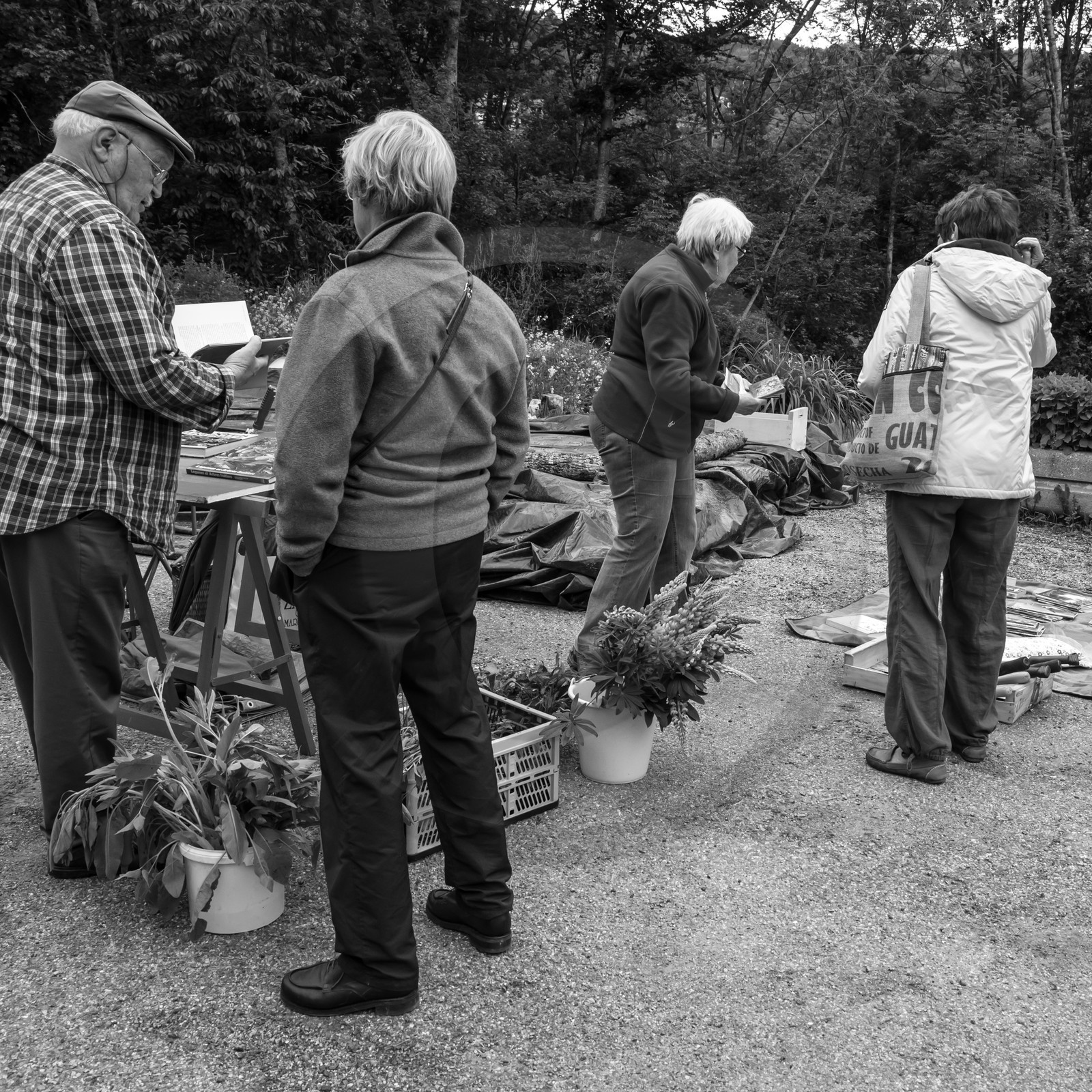 Vide-Jardin à l'Ouort