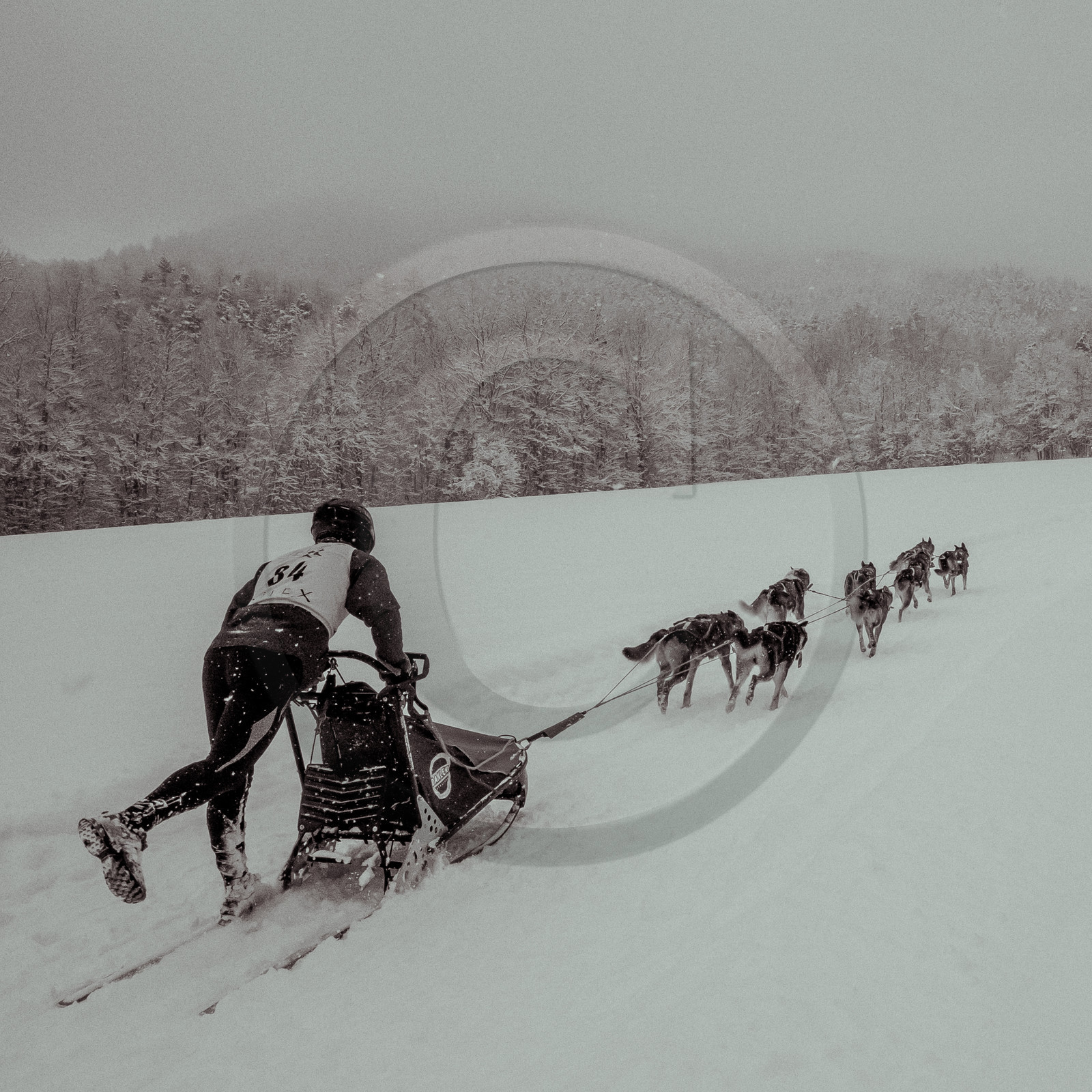 La Valgaude Traineau 2015