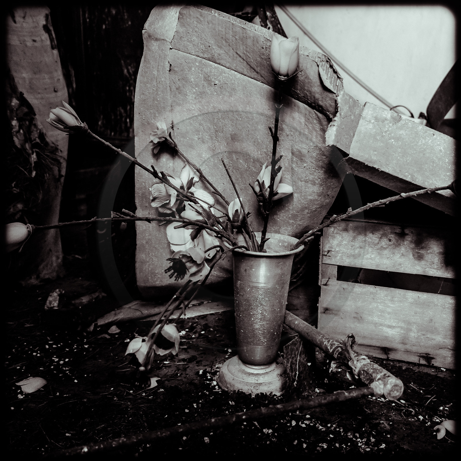 Une maison au Noyer en Champsaur