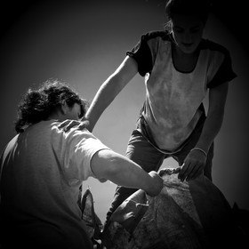 La tonte des moutons