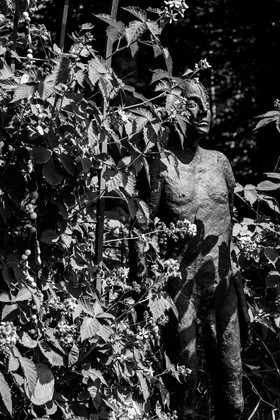 Exposition La forêt d'hommes, une création de Barbara Fougnon, artiste plasticienne