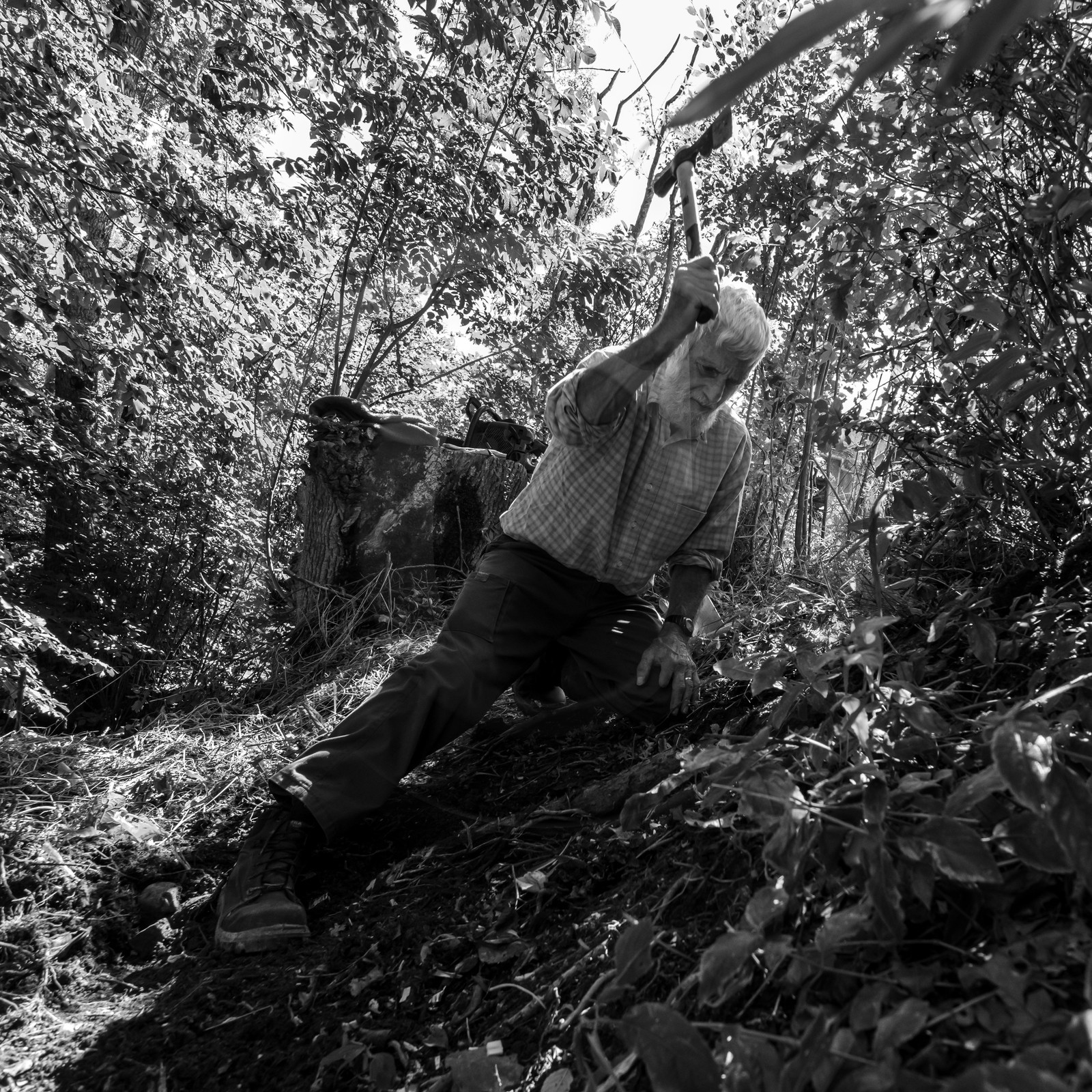 Activités au jardin