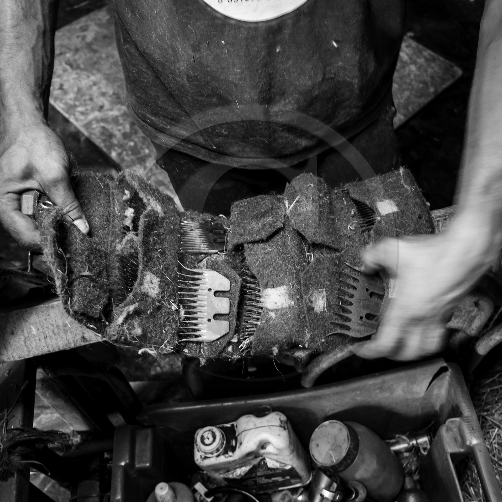 Le mohair arc en ciel