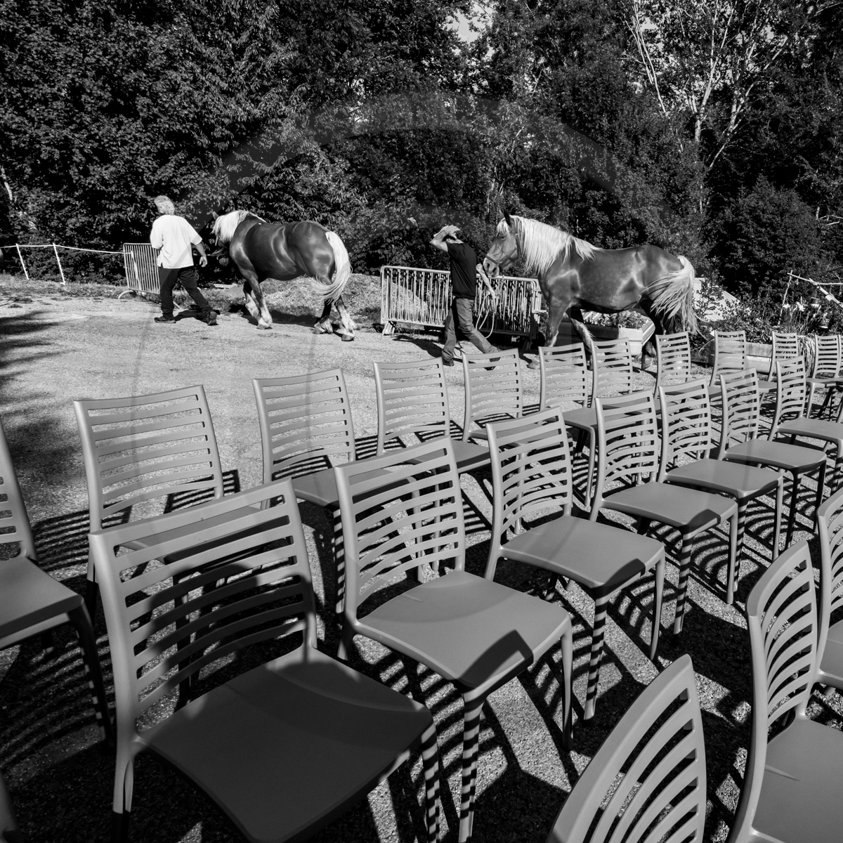 Jeanne Bleuse - Festival de Chaillol