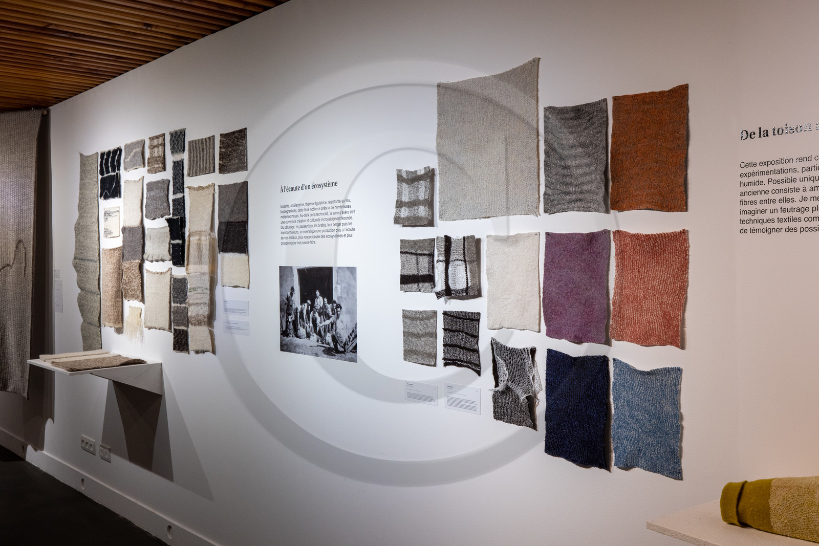 Expositions à la maison du Berger - Champoléon