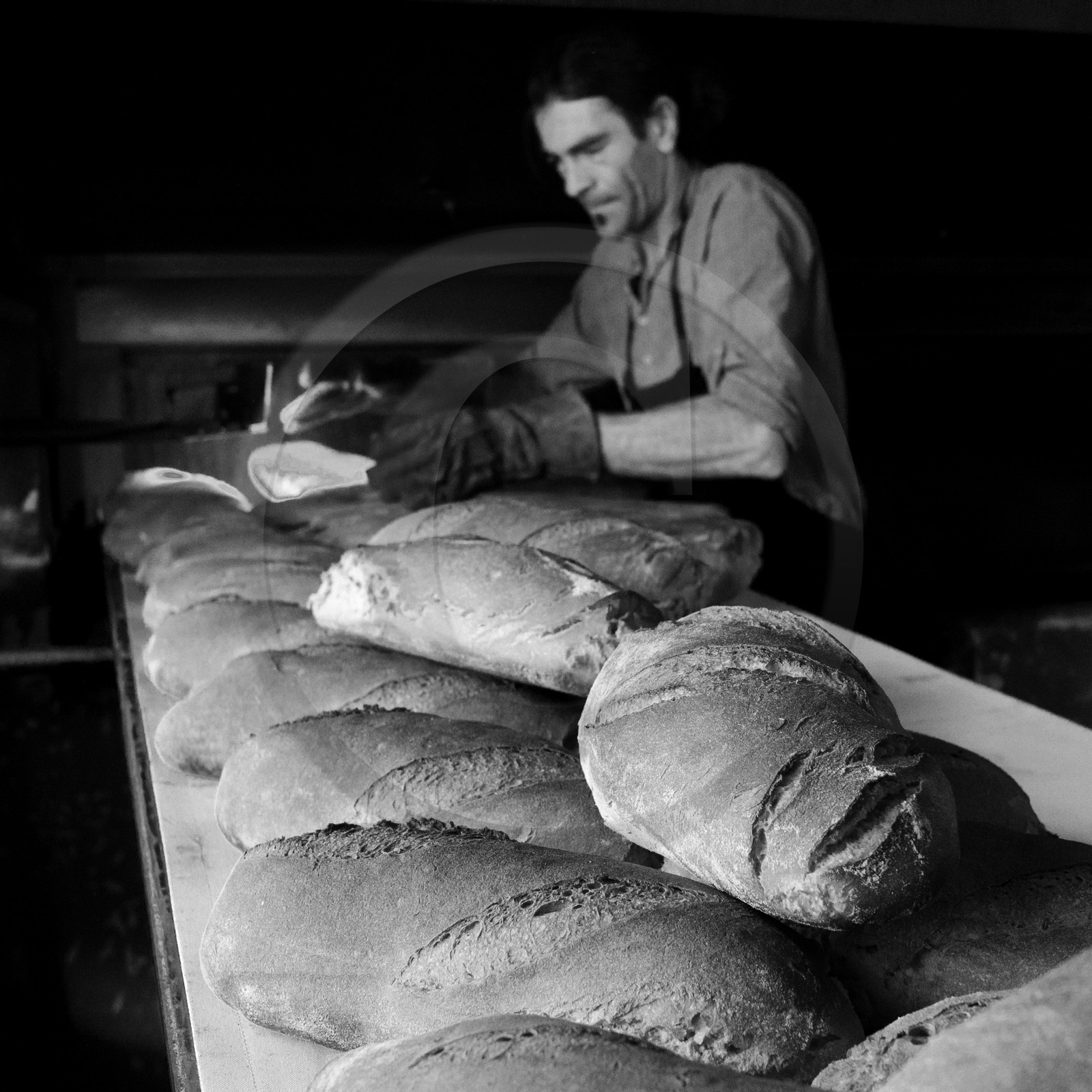 Le Grain Paysan