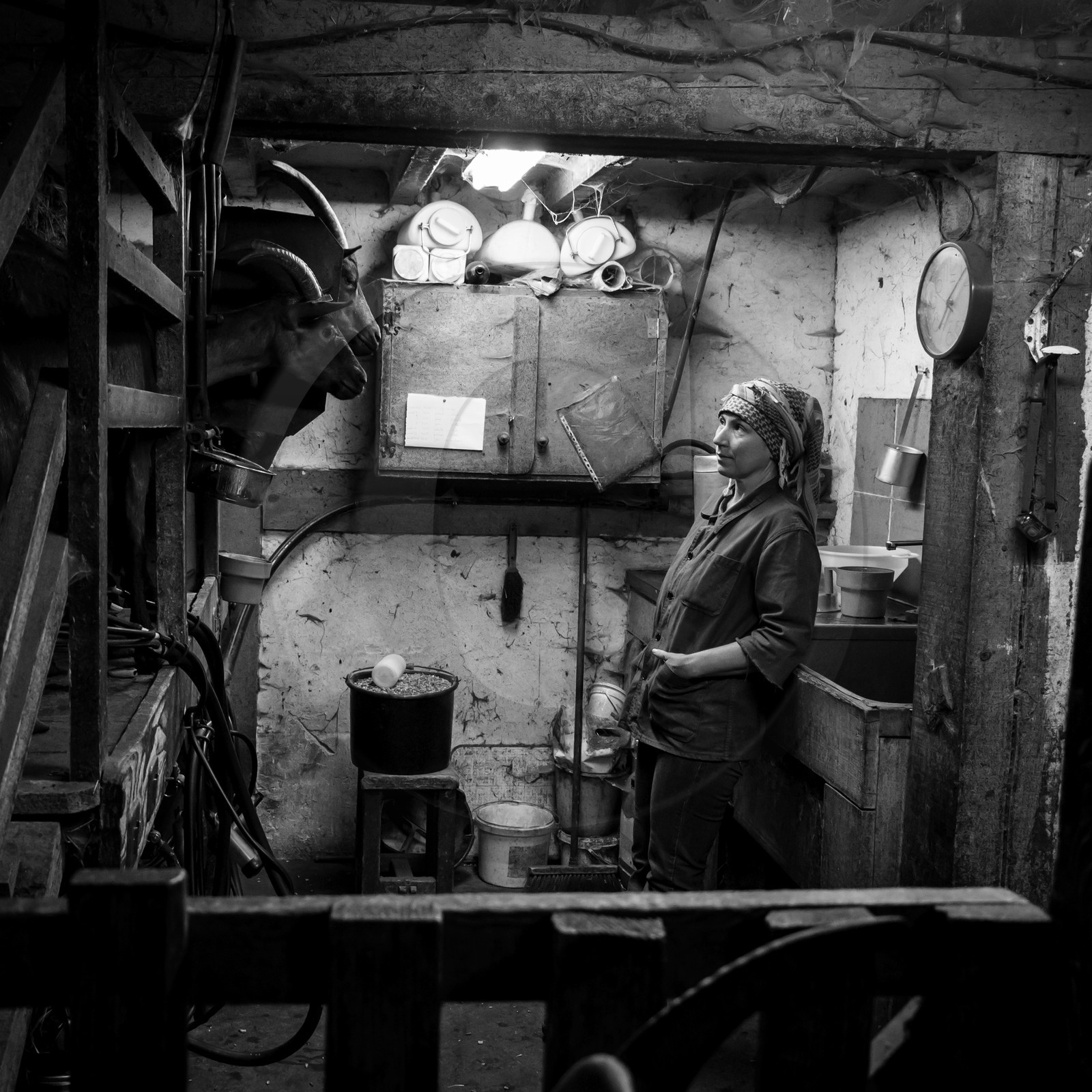 La ferme de Coste Joffre