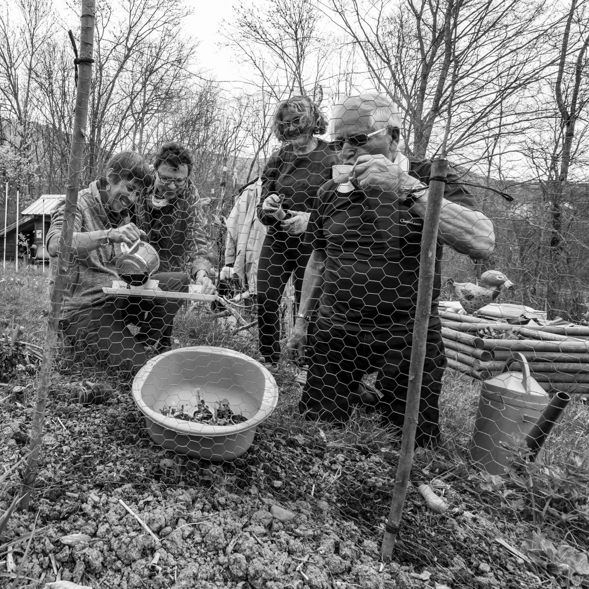 20 avril 2022 : des contes, des pommes de terre et un petit café