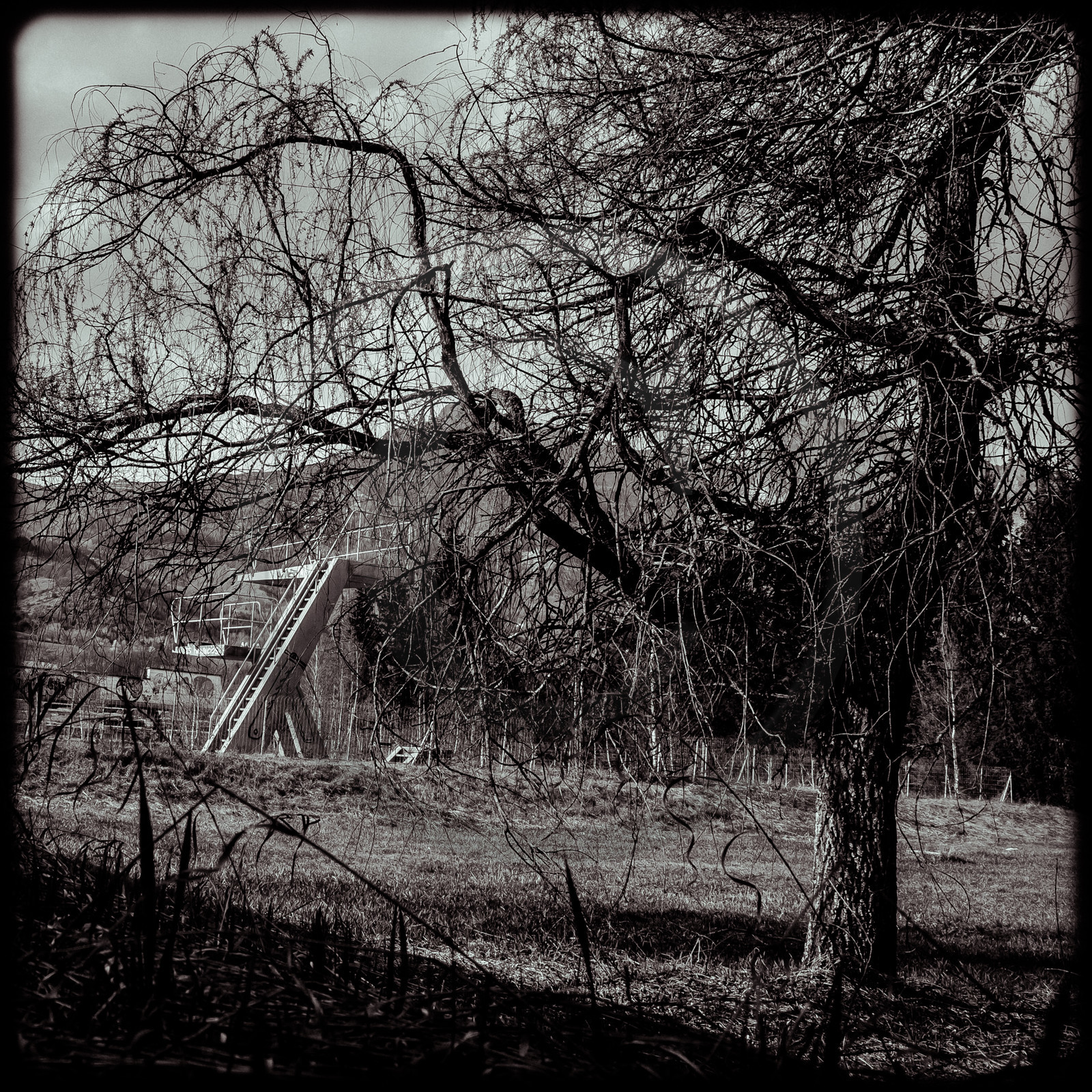 La piscine de Saint-Léger-les-Mélèzes