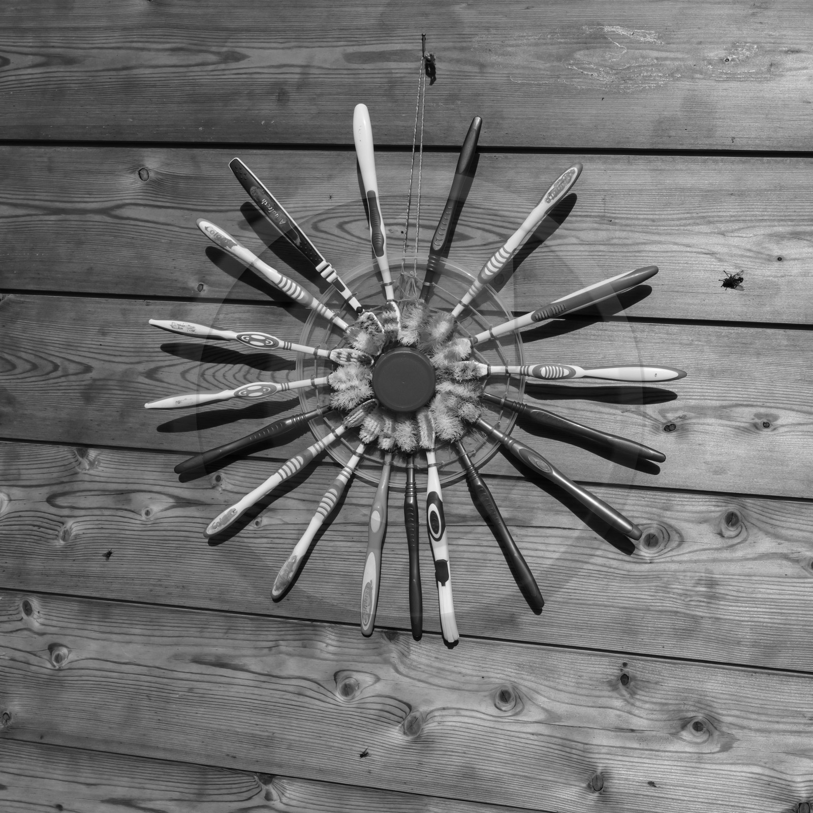 25 septembre 2019 : Promenade en calèche