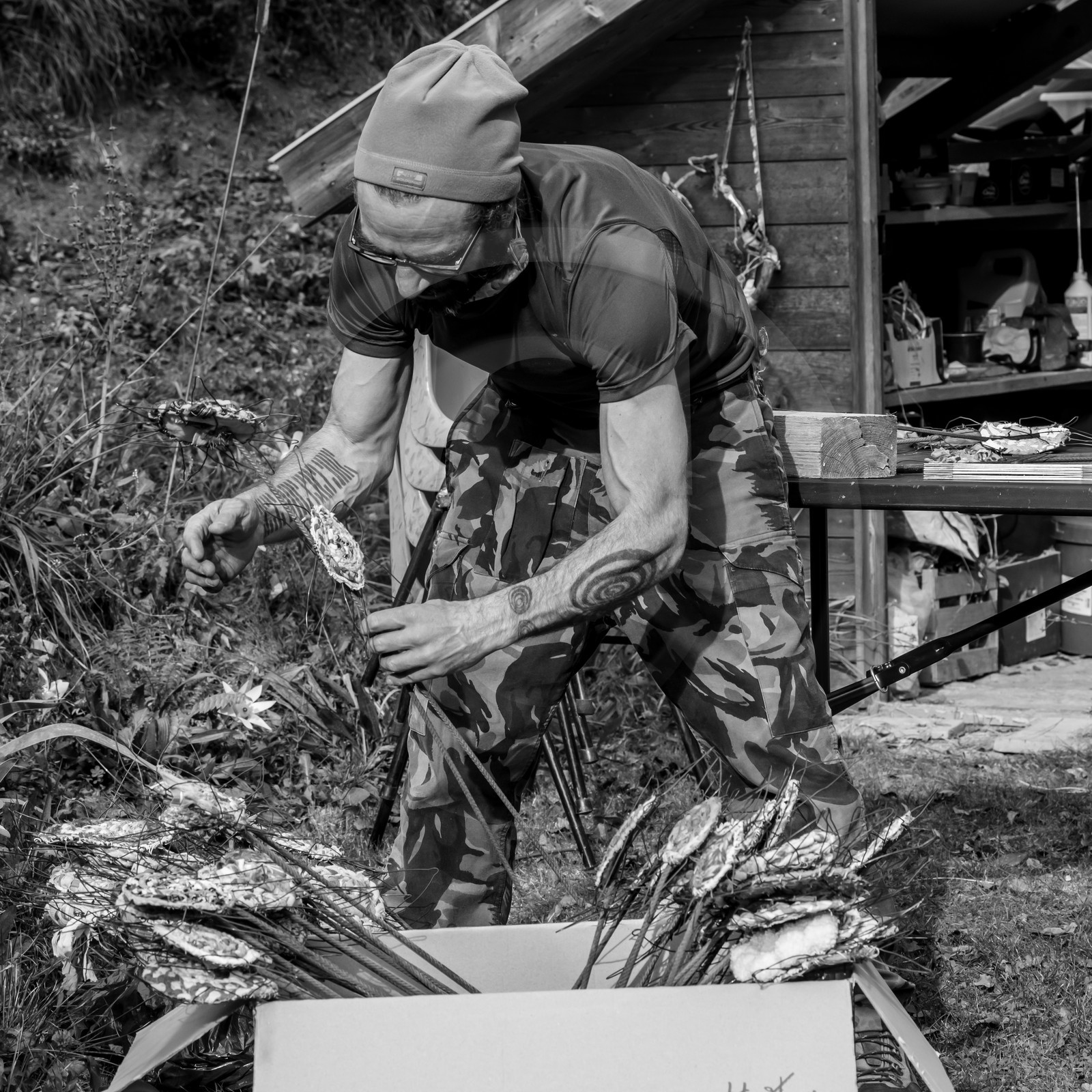 Semis, tournesols et jeux