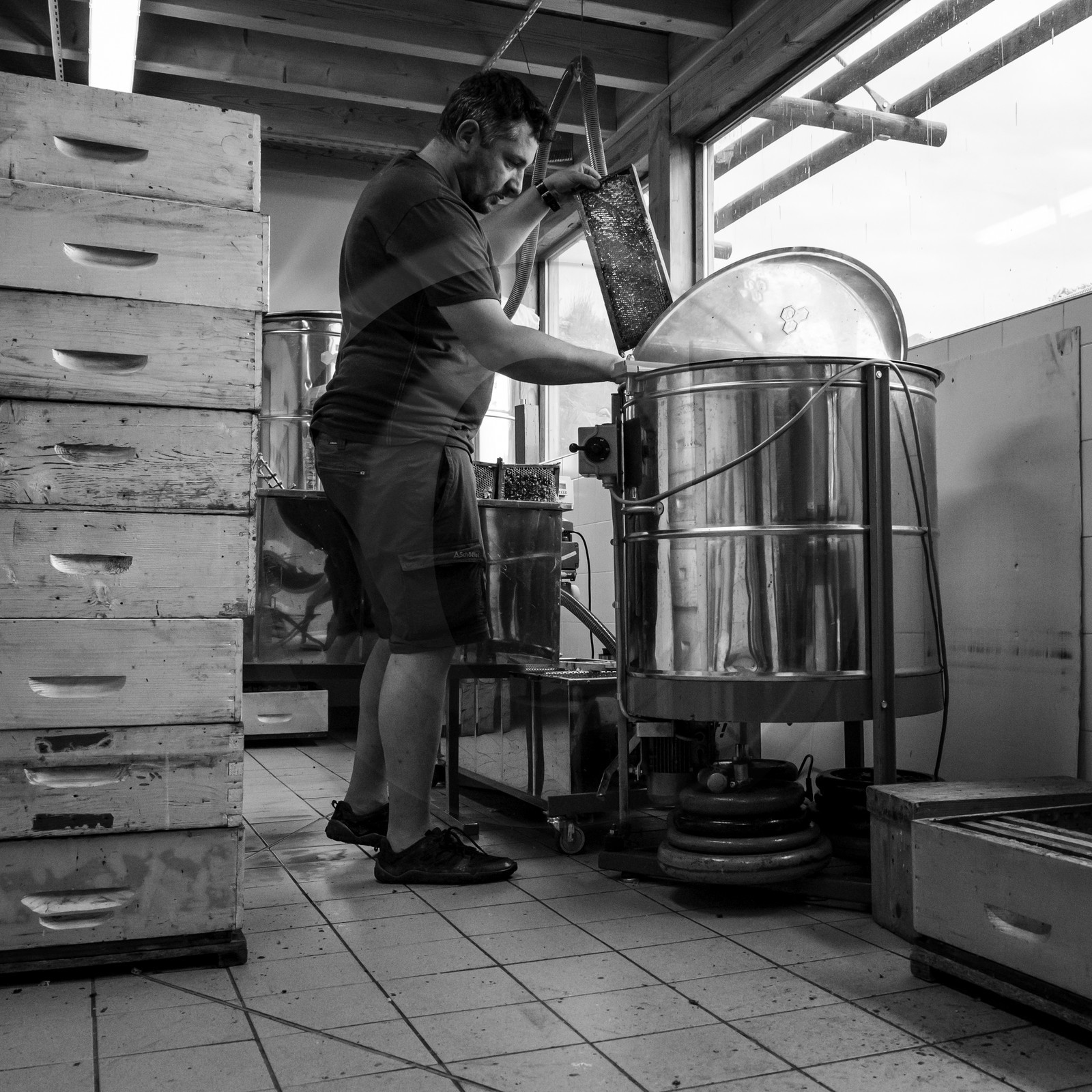 L'extraction du miel