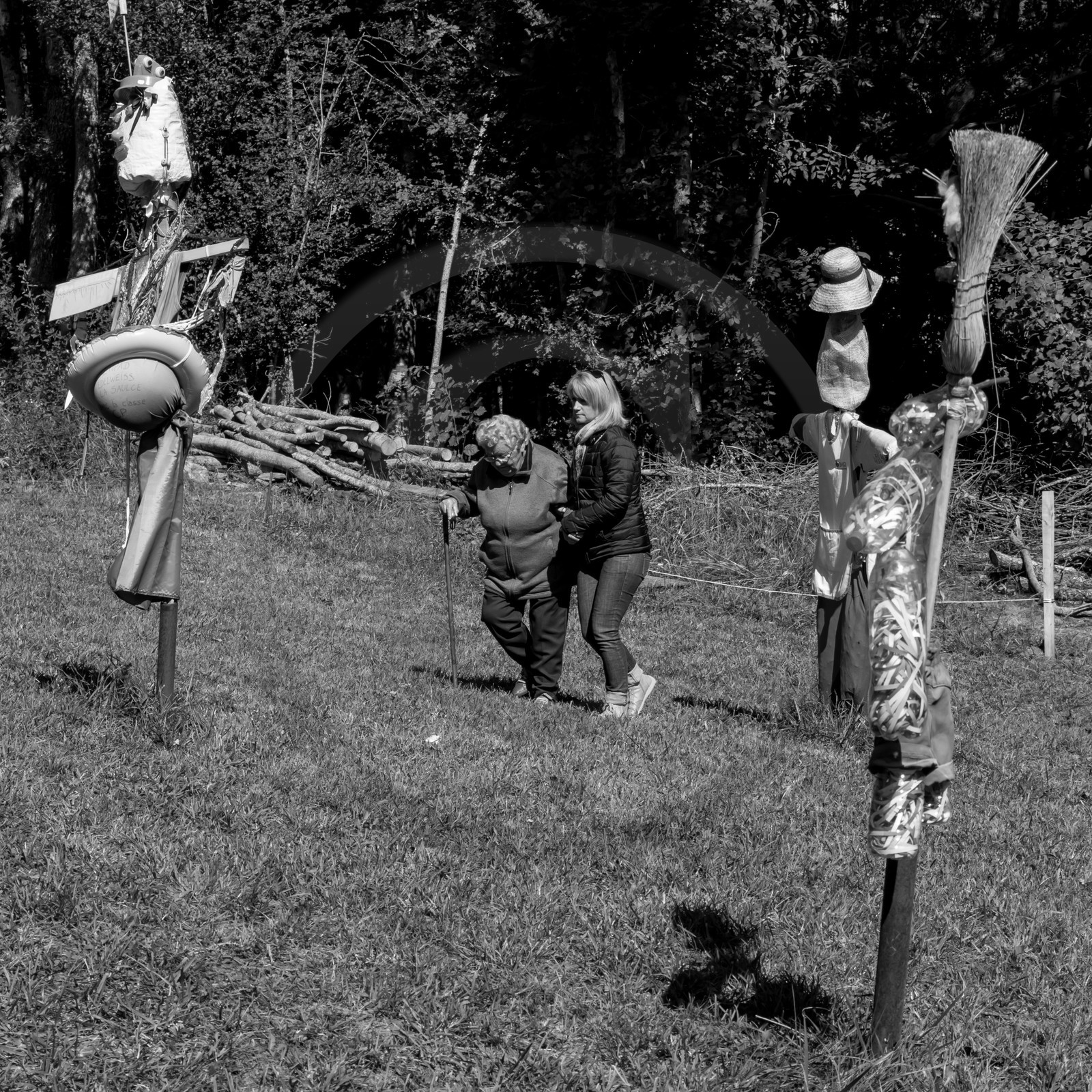 20 septembre 2017 - Jardinage