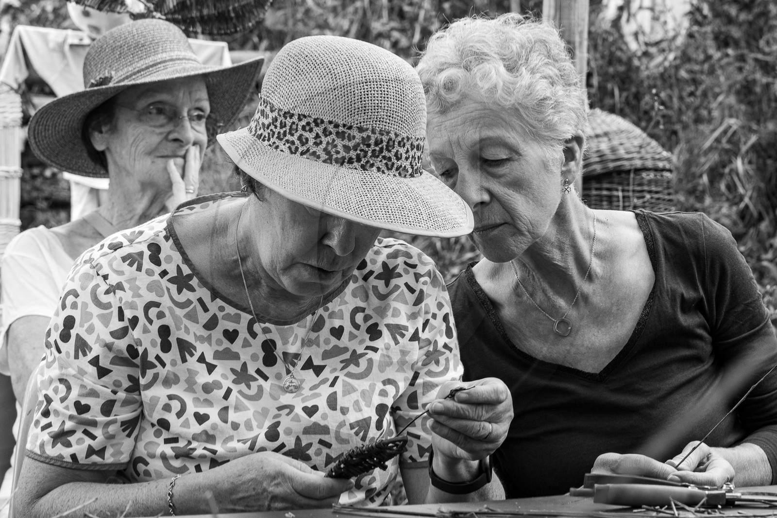 13 septembre 2023 : Osier et HydrOlique