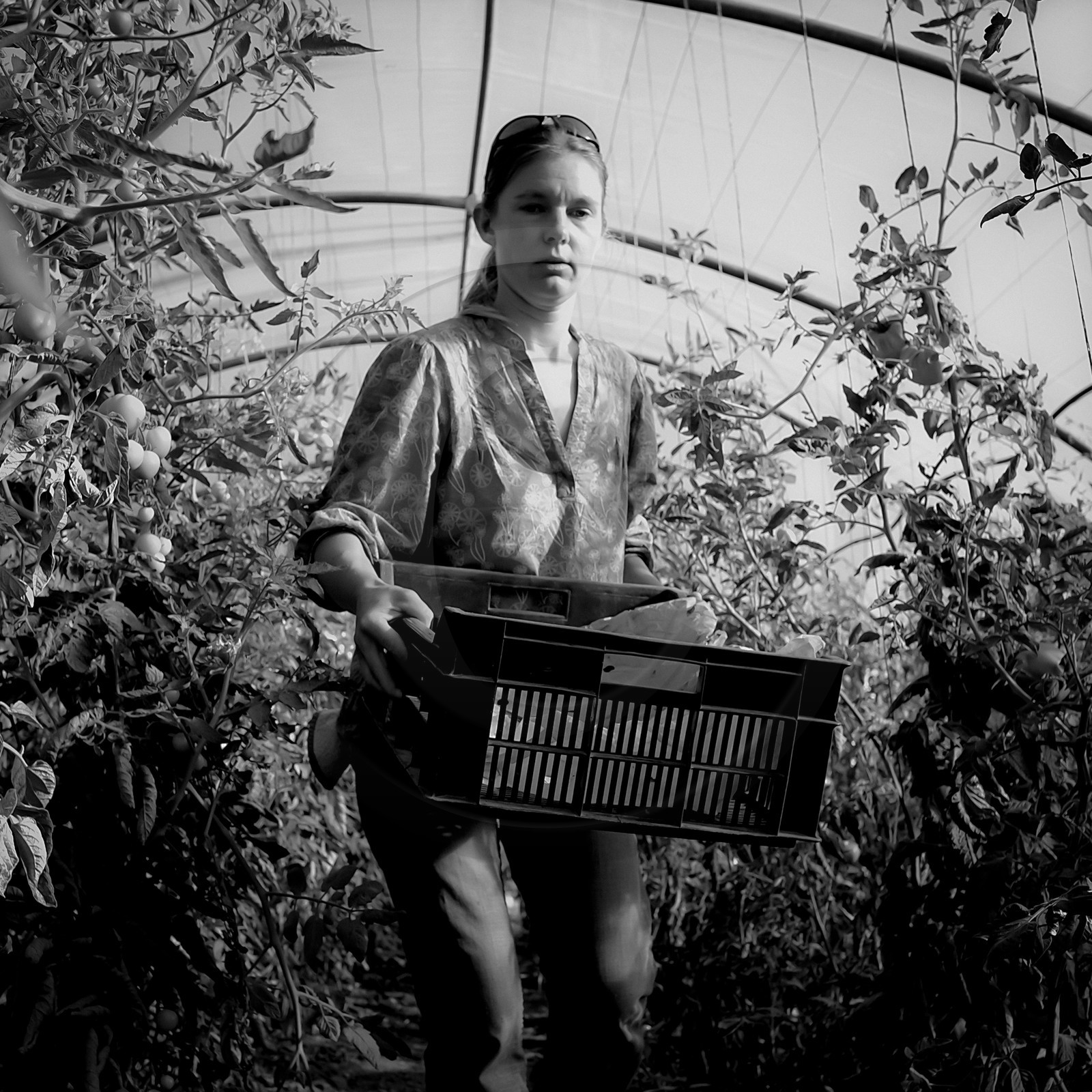 Sylvie Saint-Aubin, maraichère à Pelleautier