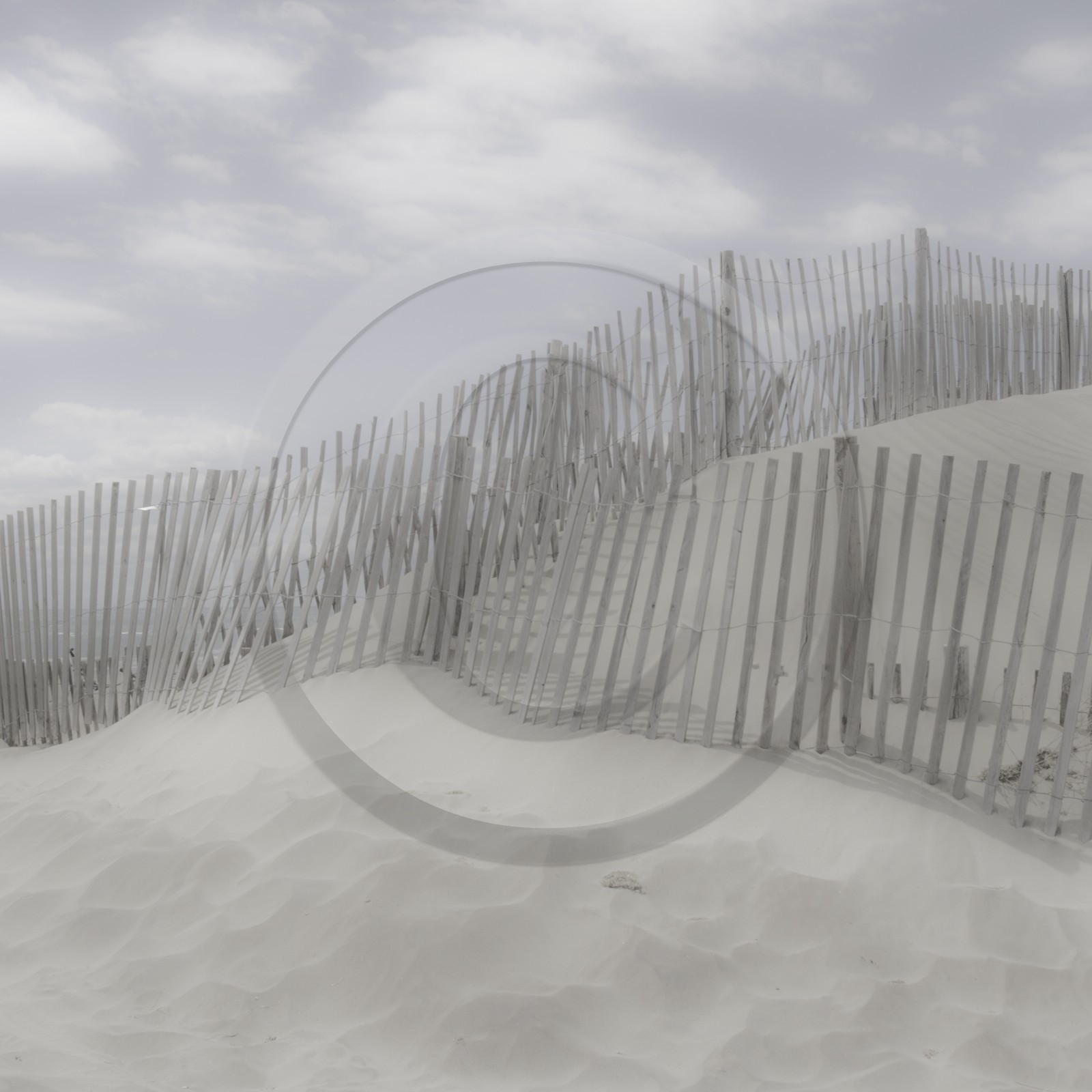 Camargue couleur pastel