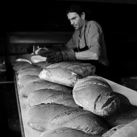 Le Grain Paysan