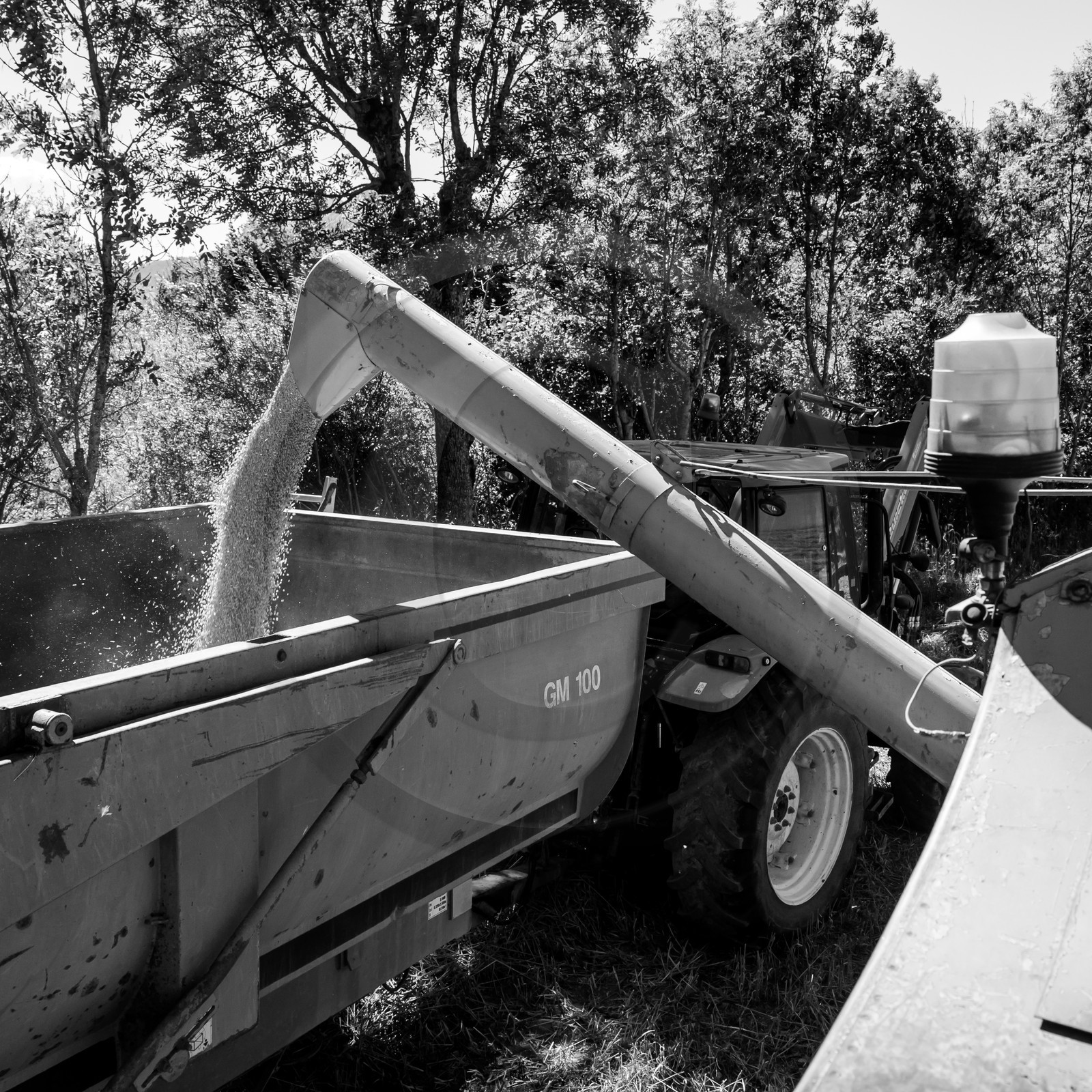 Les moissons dans le Champsaur