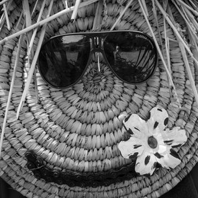 23 août 2017 - Animations